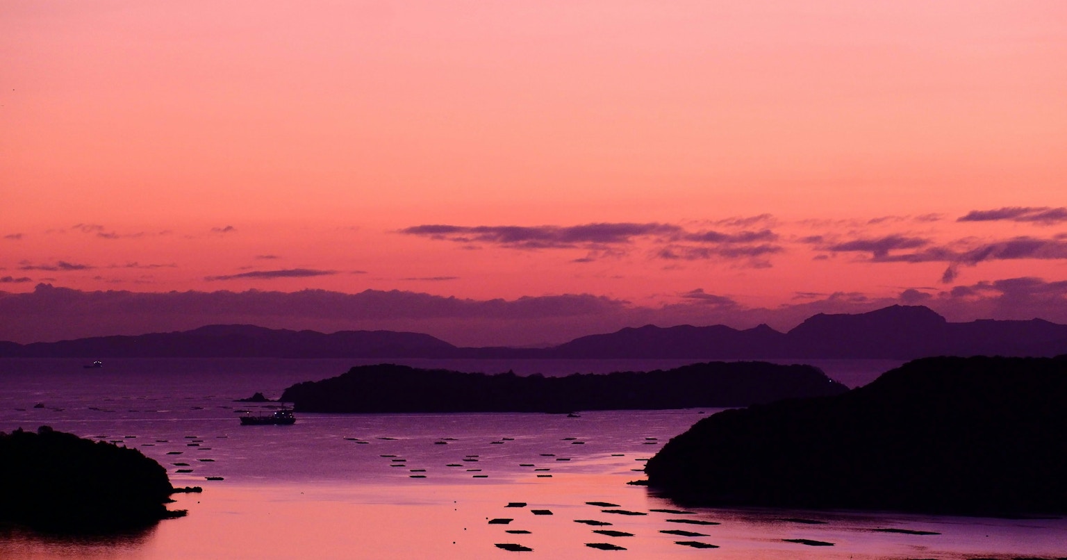 2025-04-from-morning-to-morning-cover-image