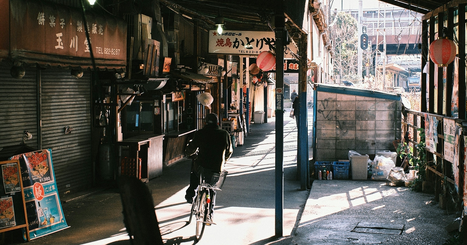 2025-12-shadows-of-light-cover-image