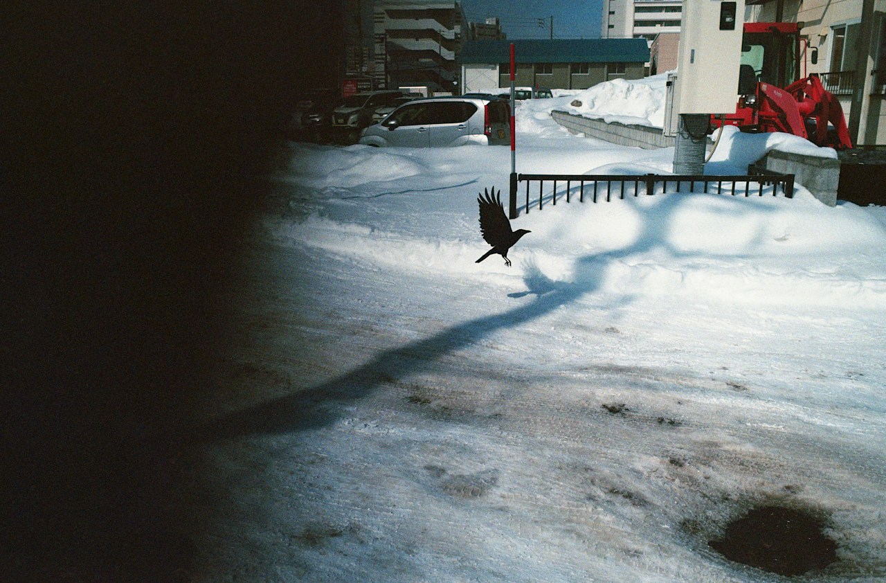 Photo by Soichi Nishigaki