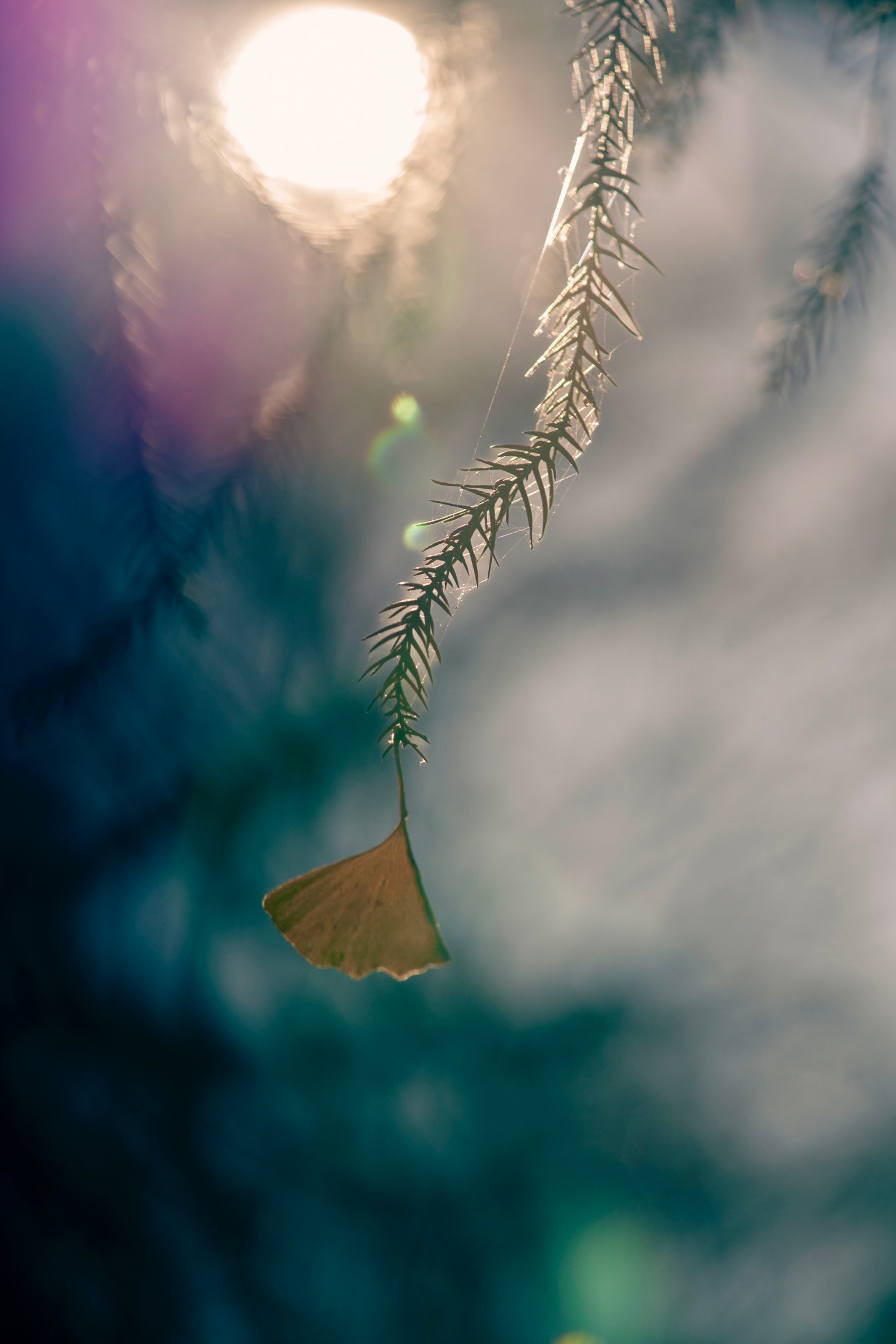 2024-03-winter-magic-image-9