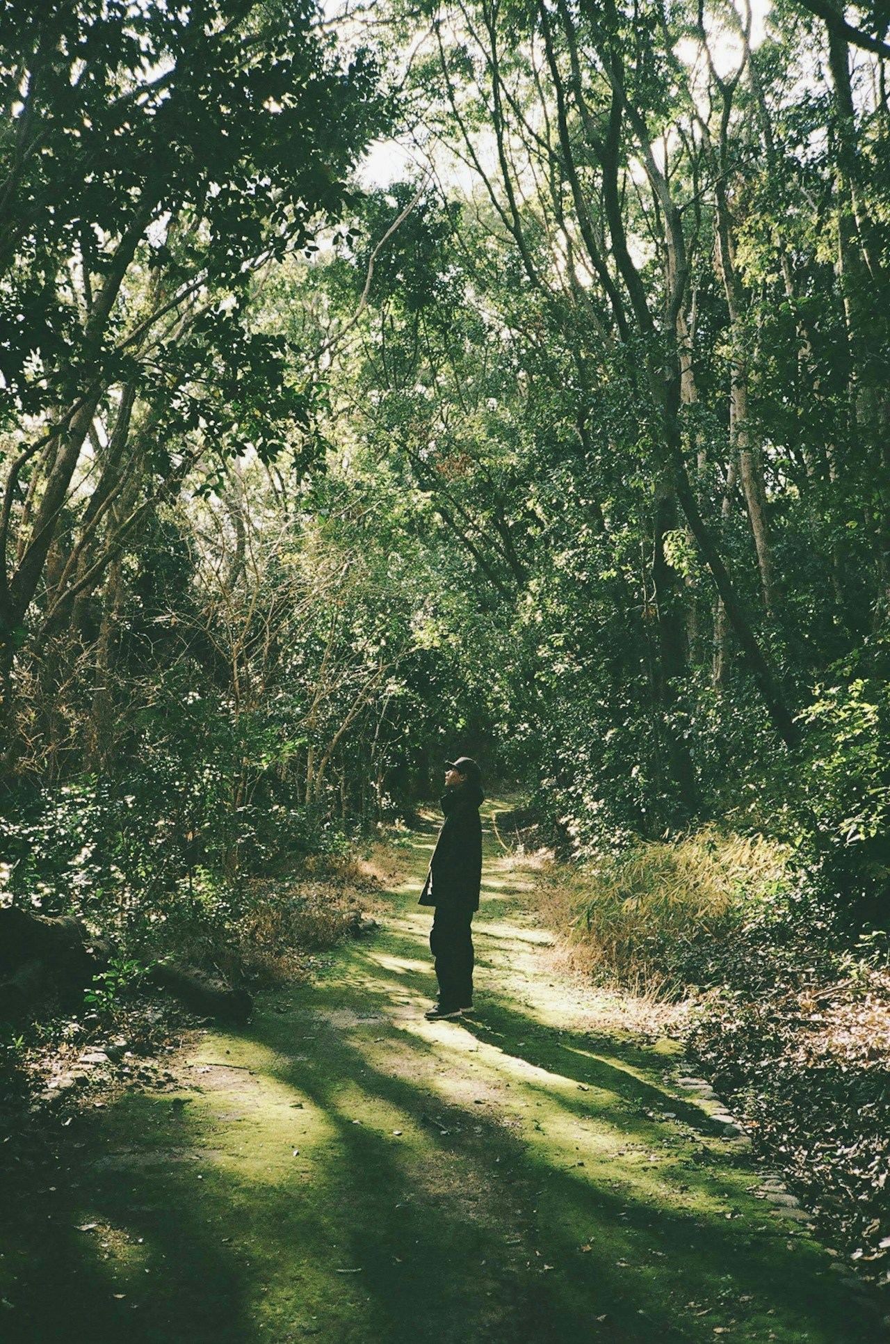 Photo : yNAK