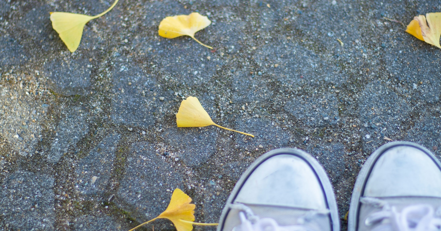 2025-10-another-everyday-world-cover-image