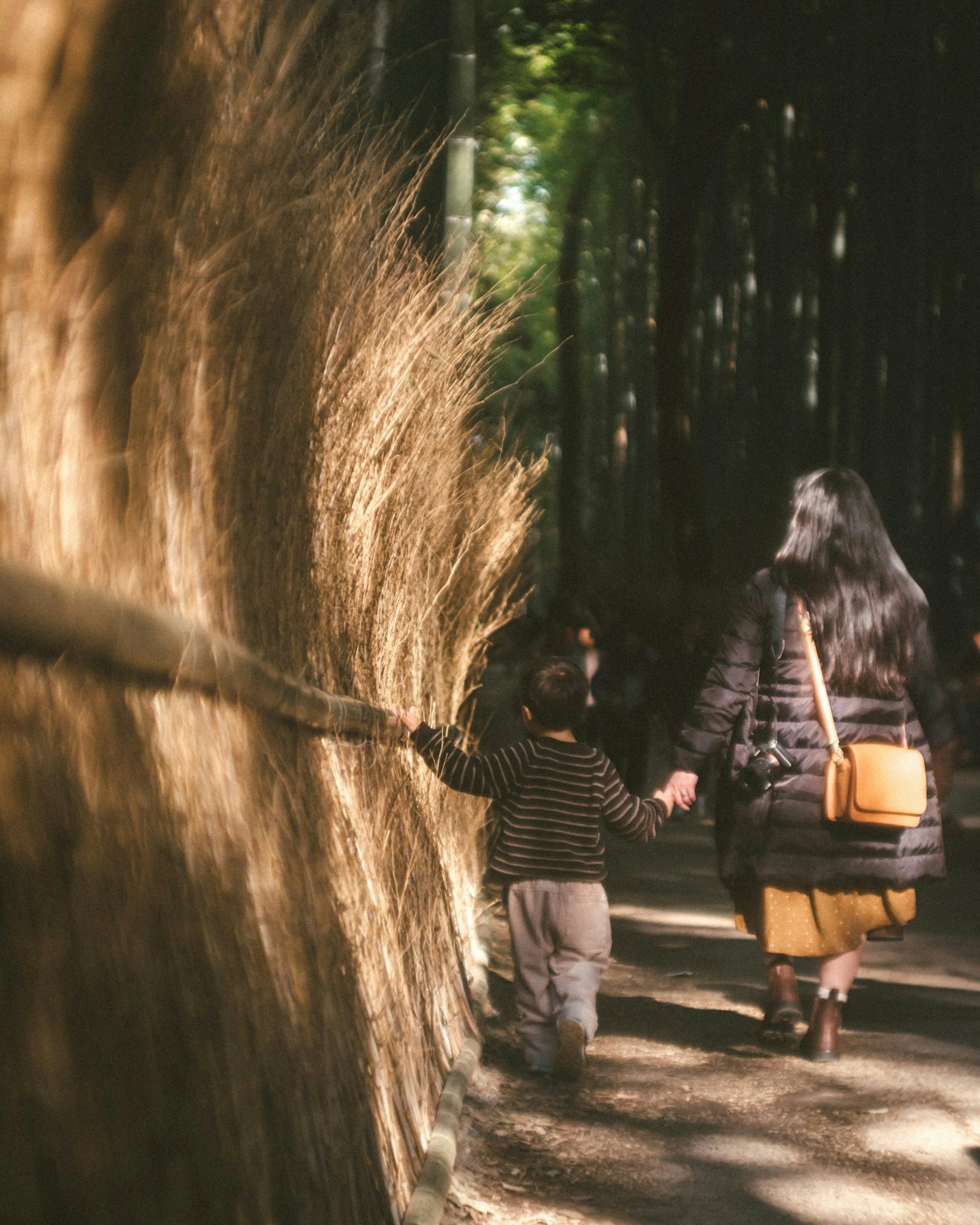 2025-03-tks-leica-summarit-50mm-memories-image-7