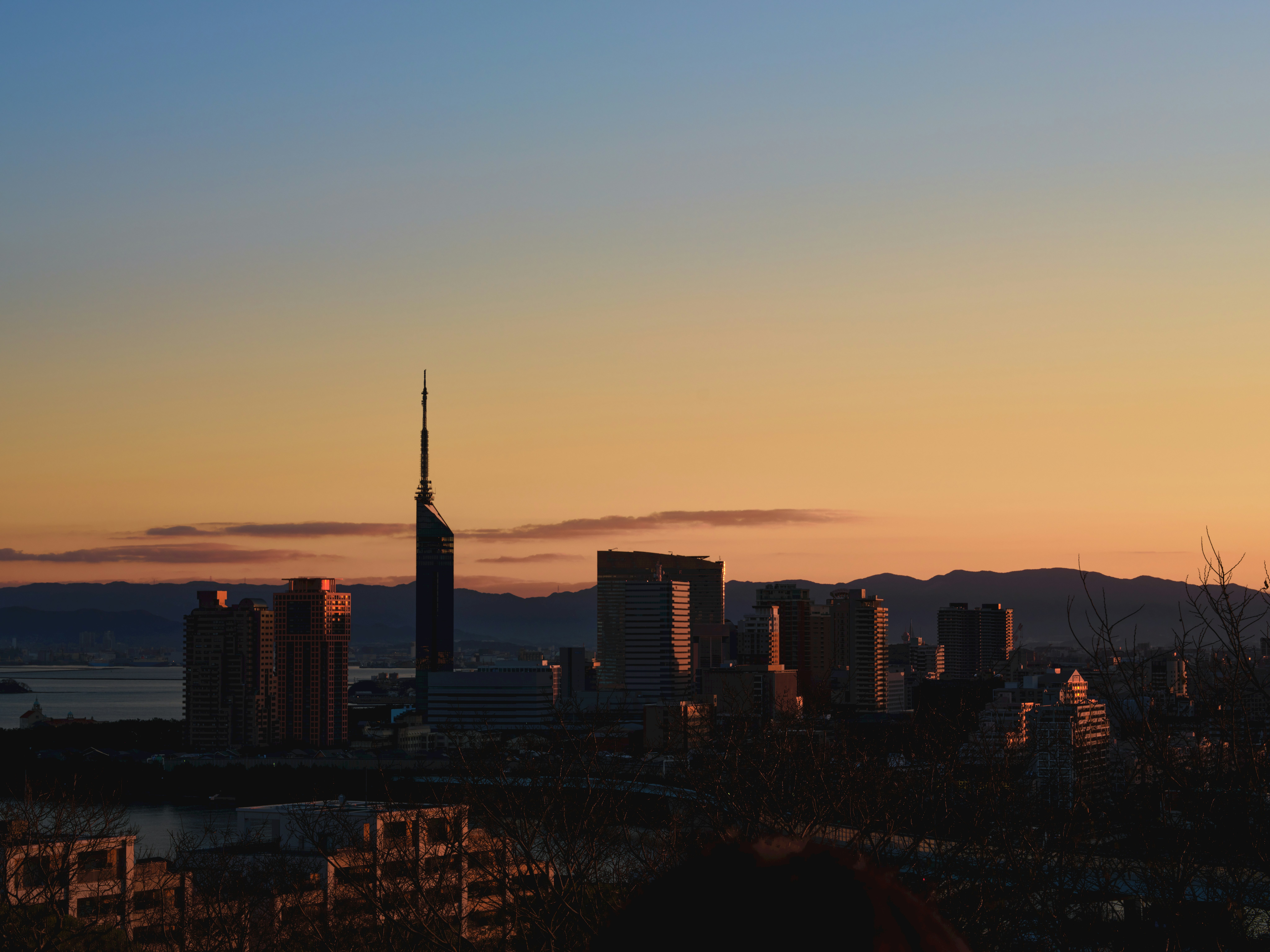 2025-10-ppp-in-fukuoka-cover-image