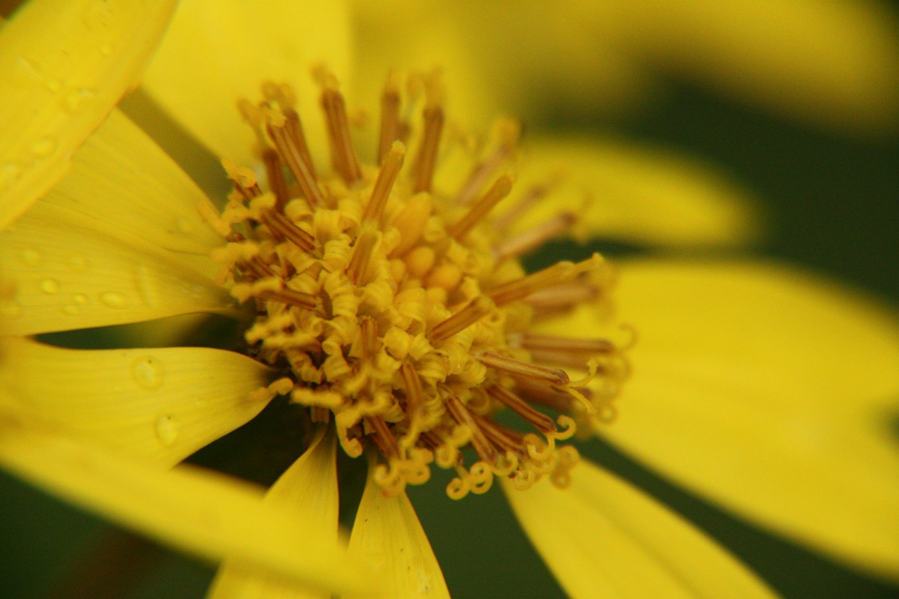 Image by F5.6