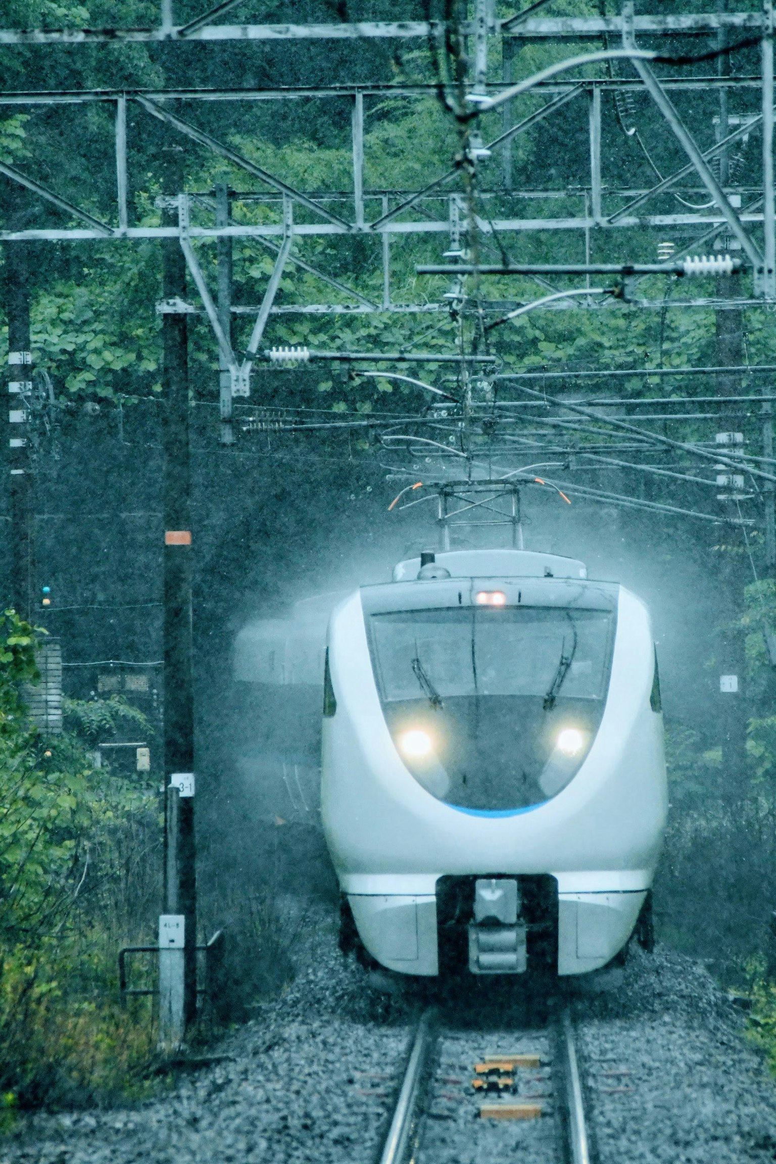 2025-07-living-with-rain-award-image-8
