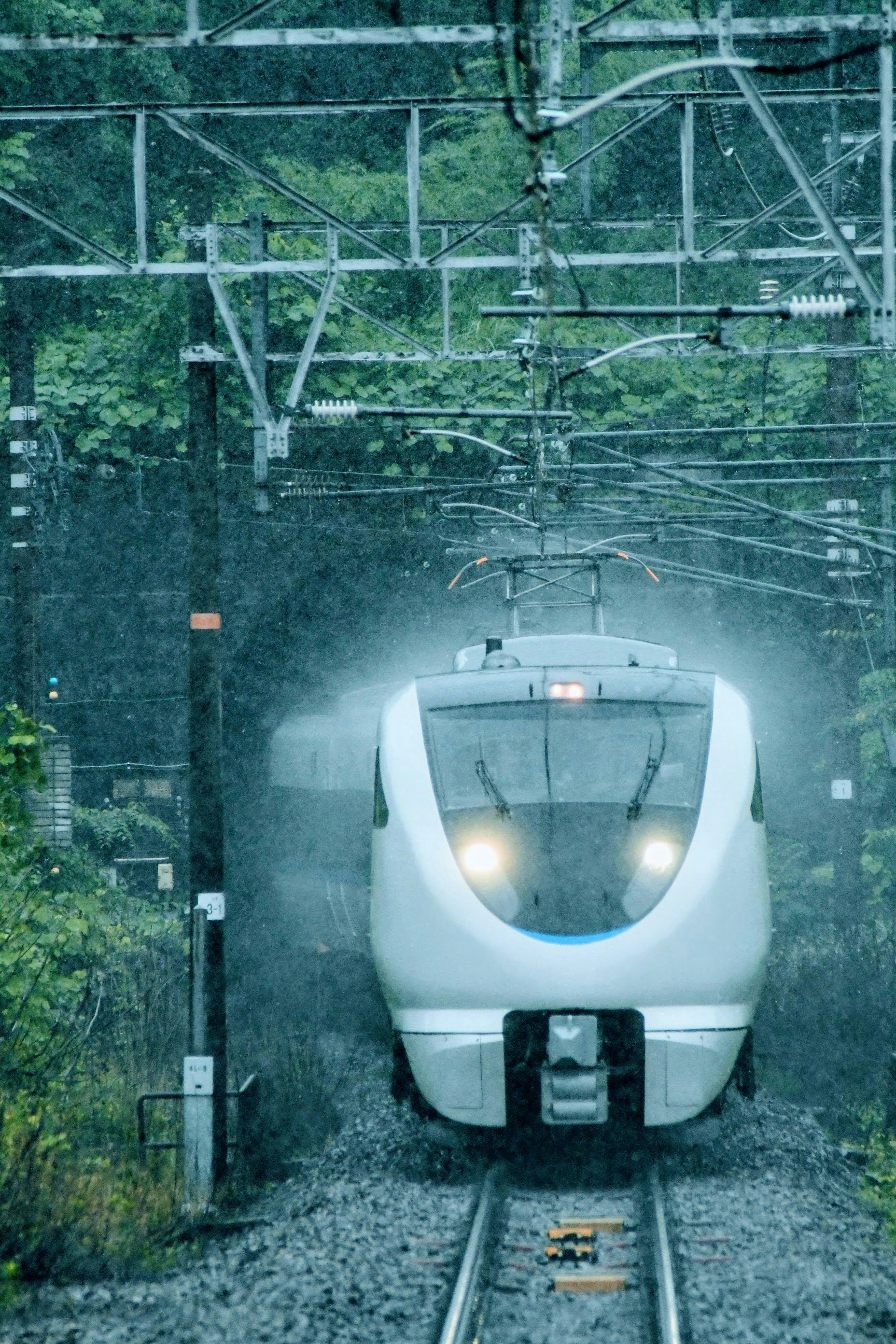 2025-07-living-with-rain-award-image-8