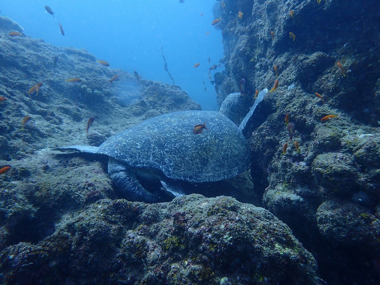 Image by AK