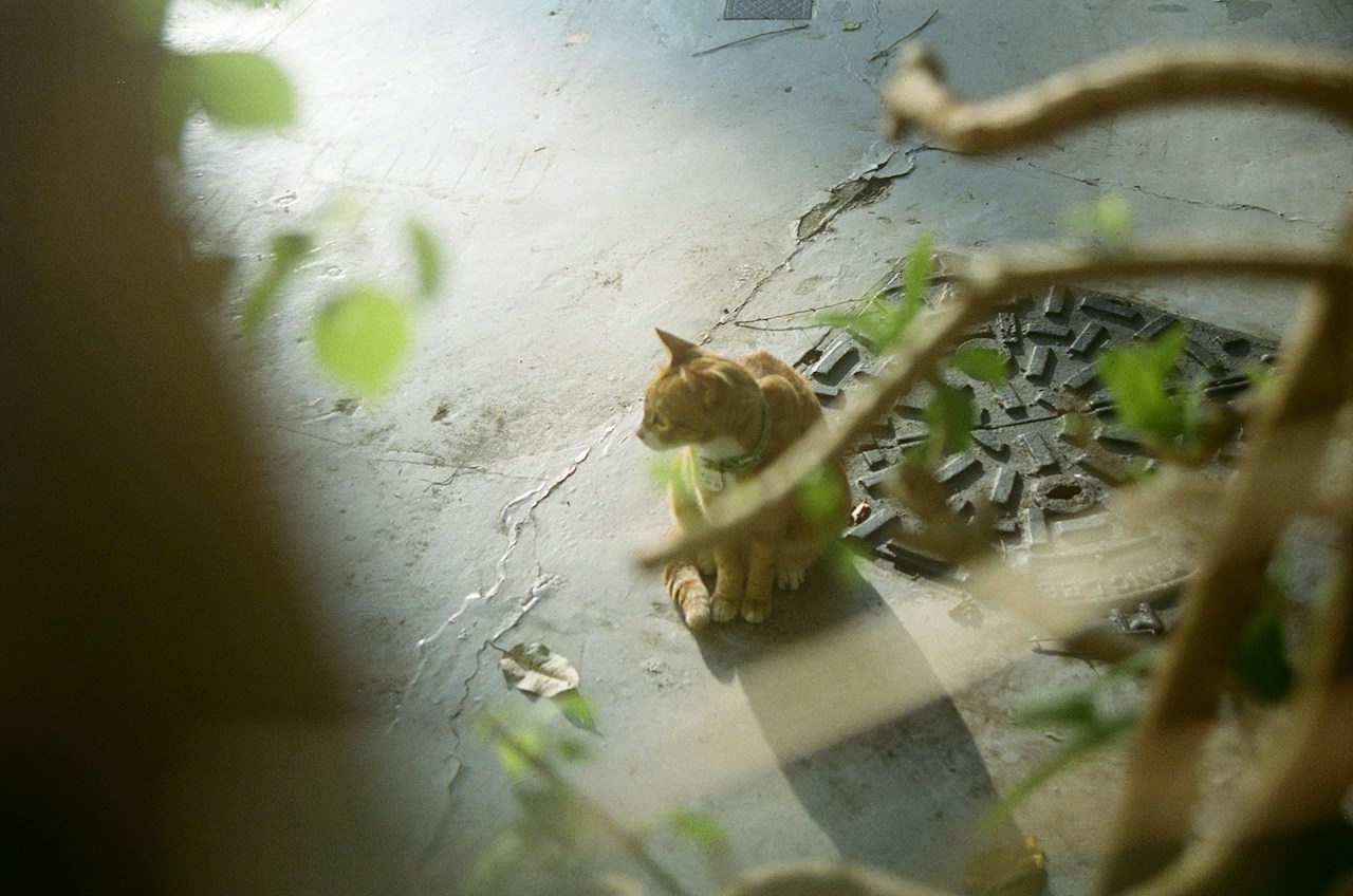 Photo by suenhang