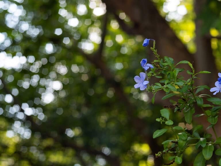 2024-06-astrohori-55mm-image-10