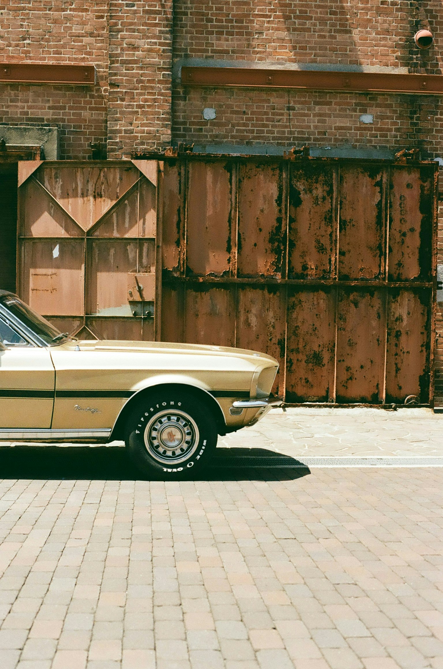 2025-04-masato-a-first-film-camera-fm2-image-16