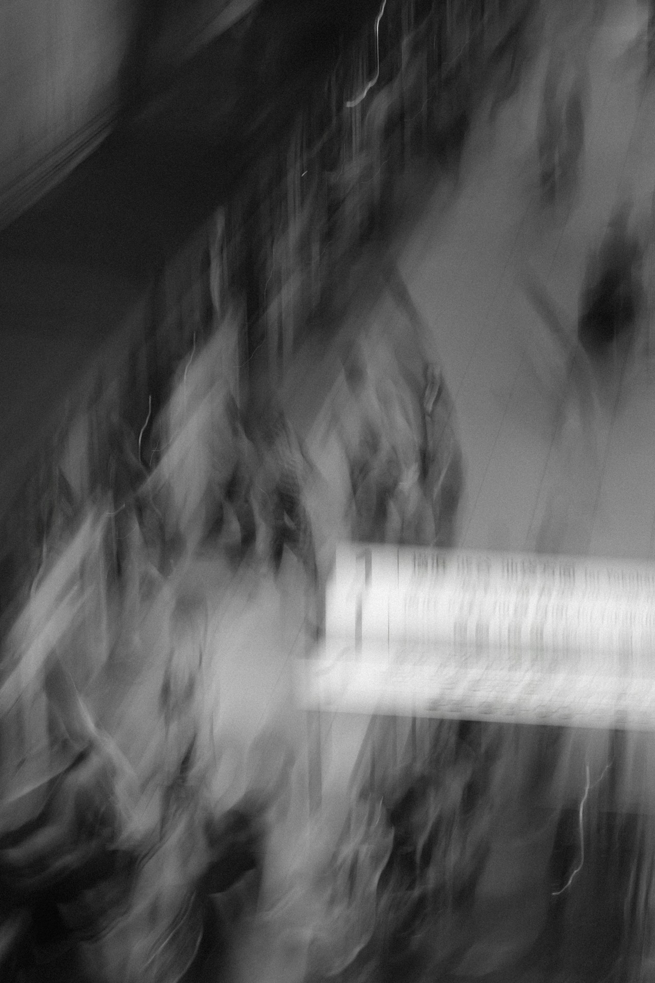 Photo by 勇人