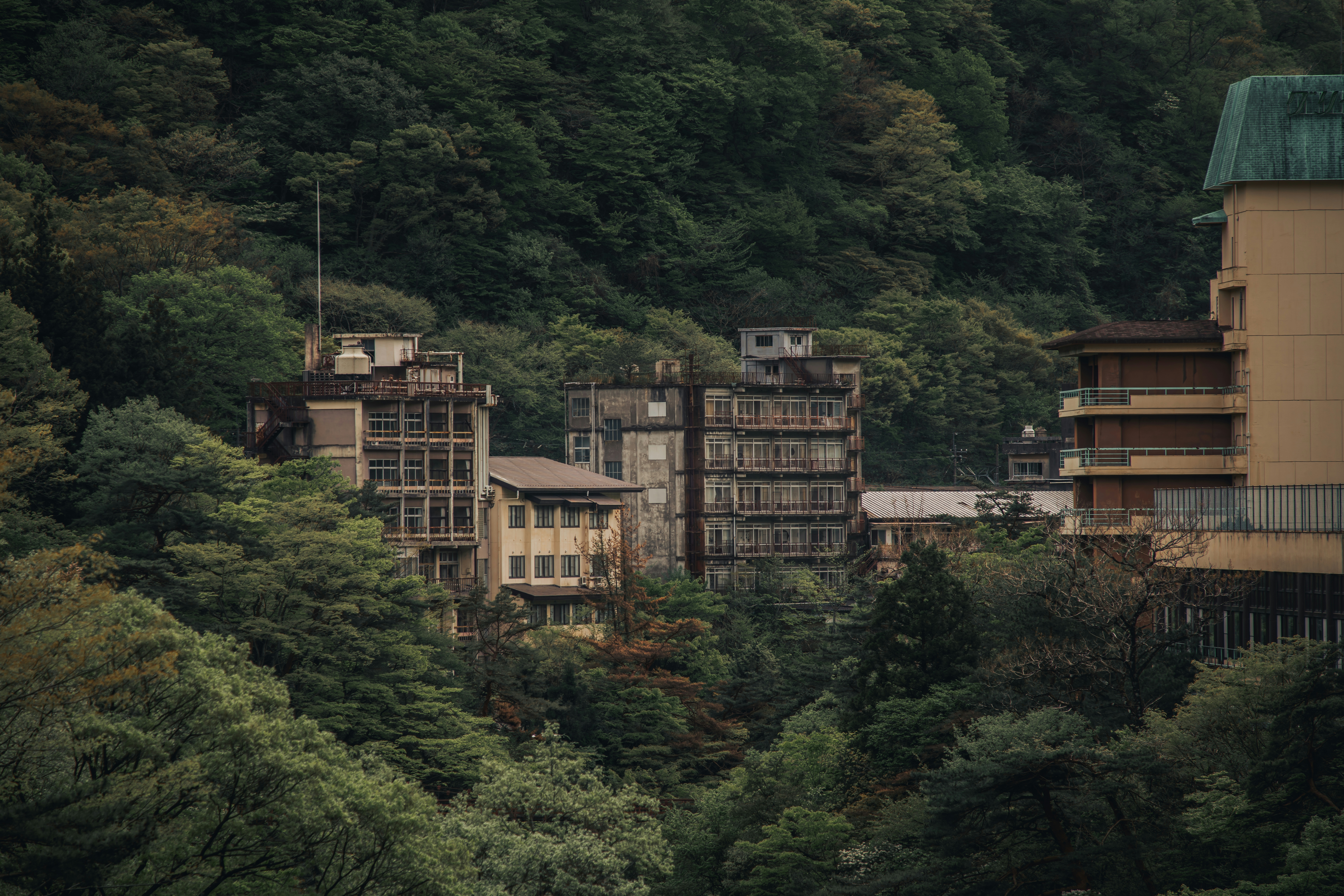 2026-05-kinugawa-spots-by-umai-gohan-cover-image