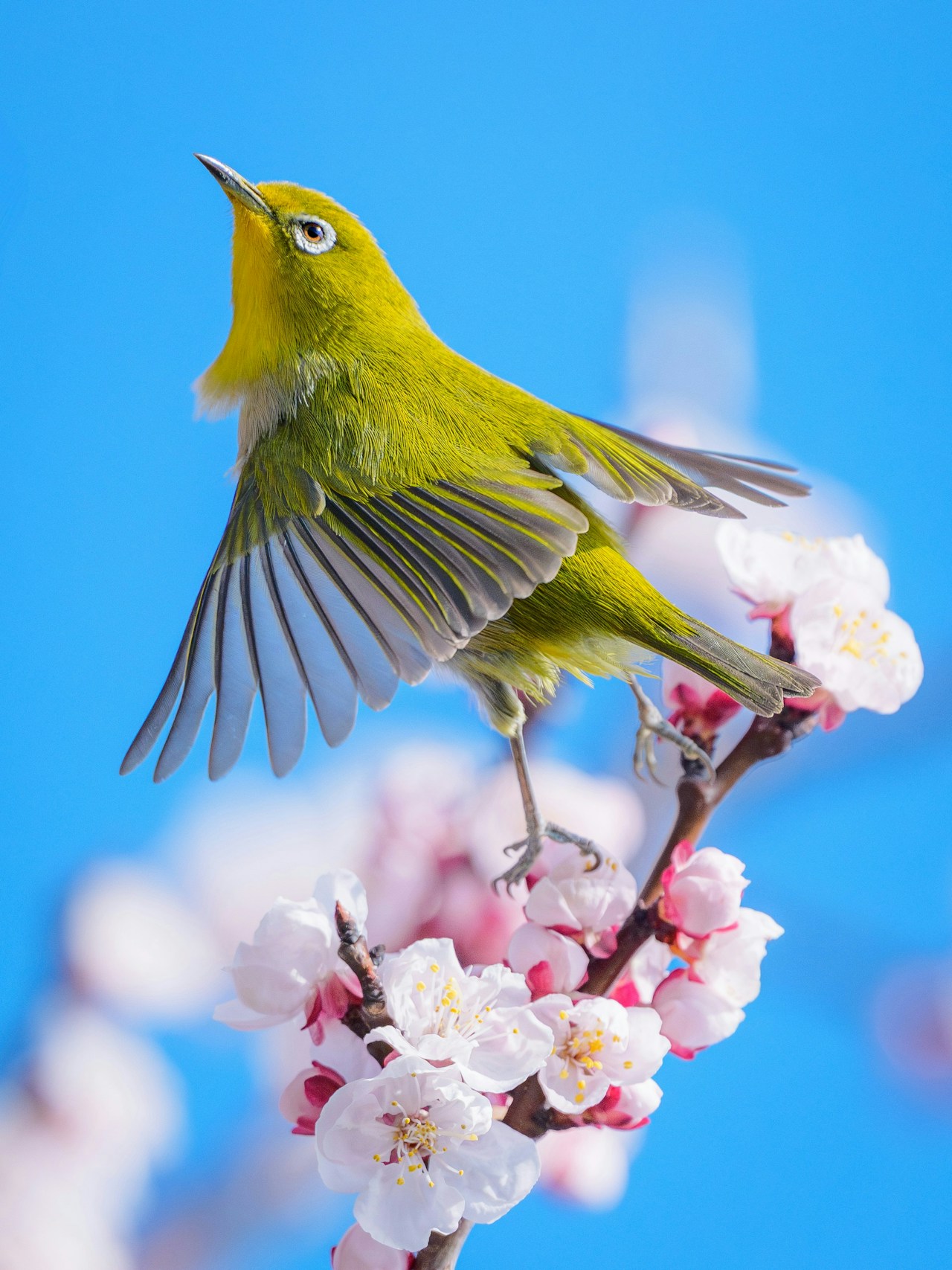 Photo by まさ
