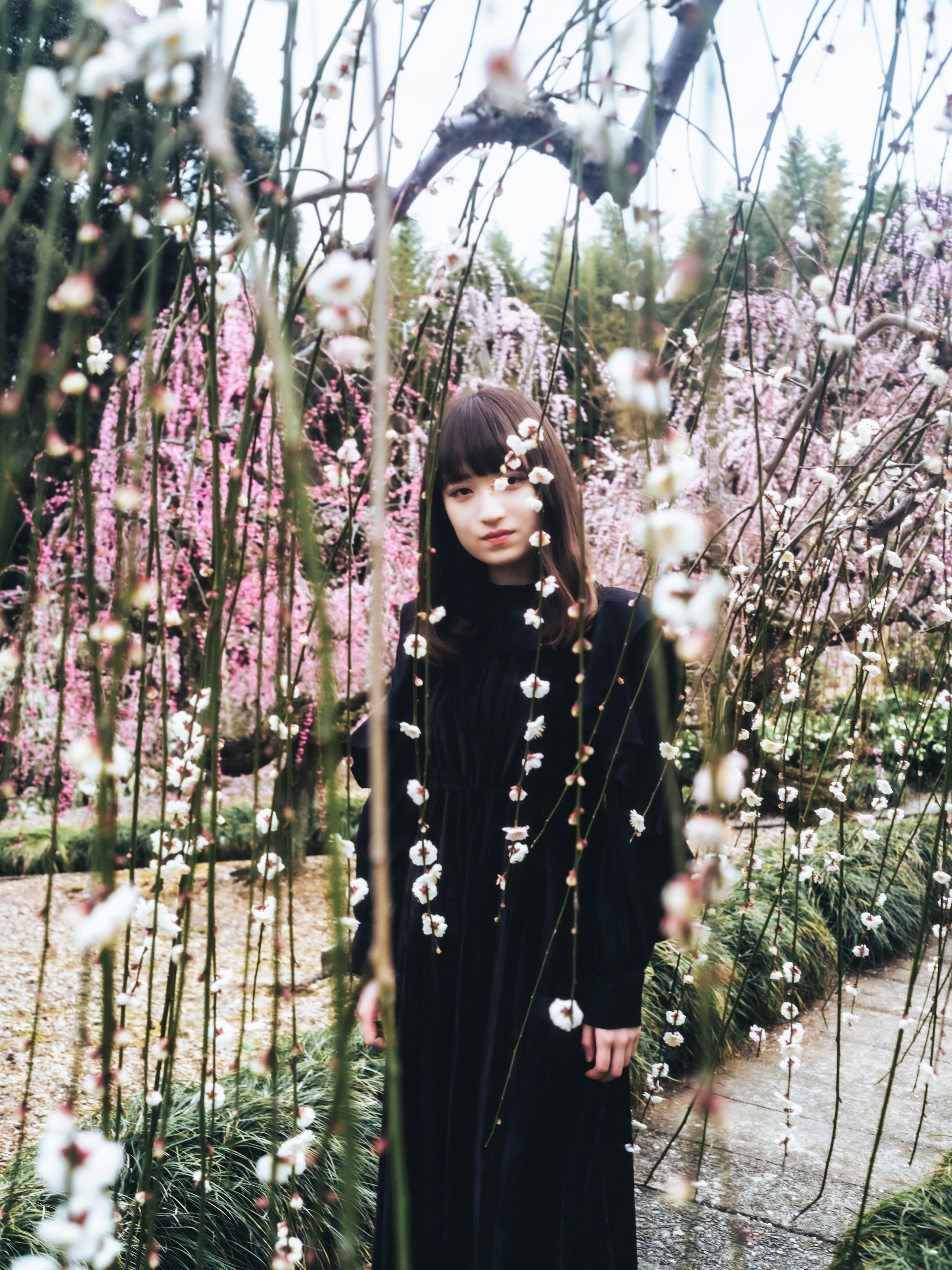 Image by 佐藤亜梨沙 │ Sato Arisa