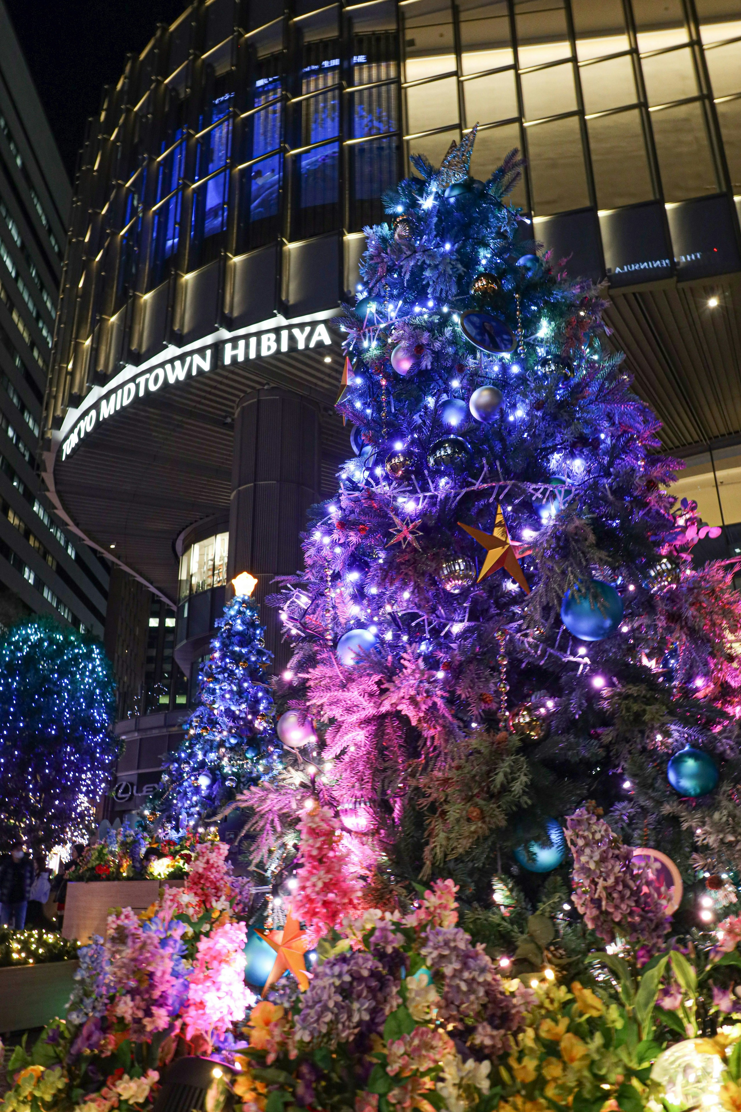 2024-12-december-photography-subjects-image-6