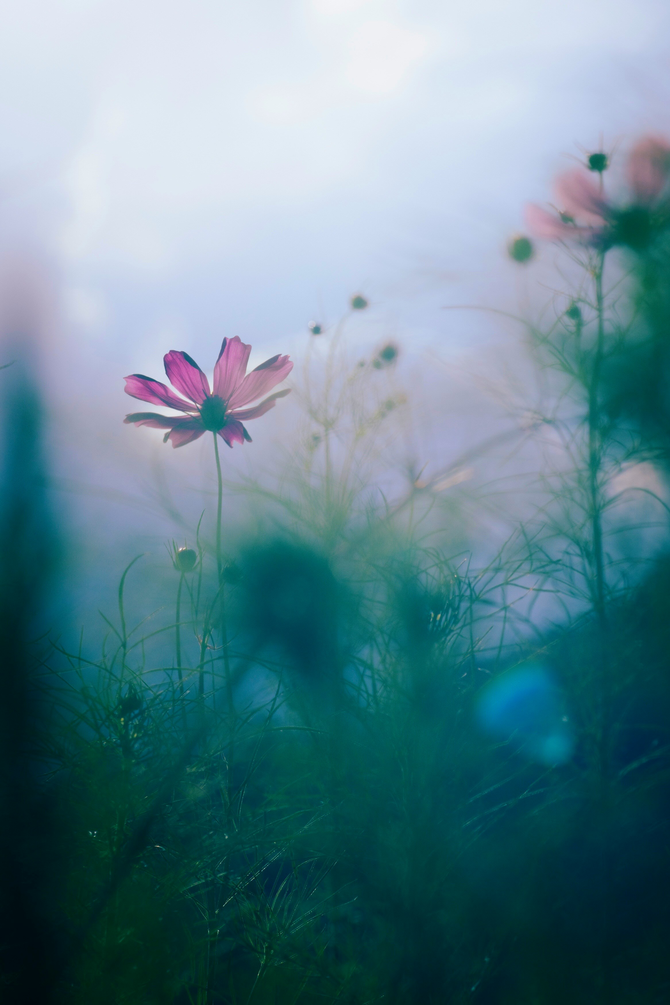 2024-10-bokeh-photo-techniques-image-8