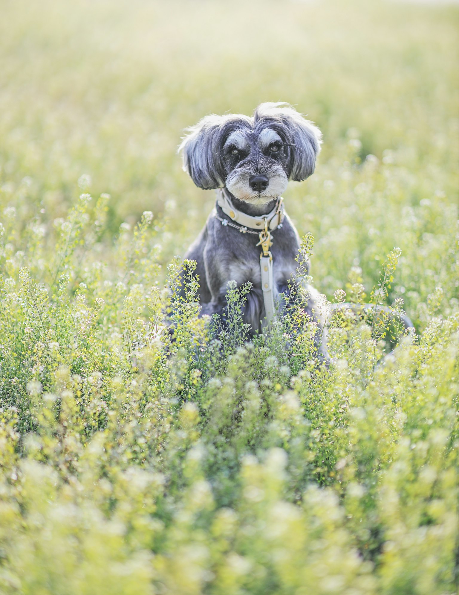 2023-10-visual-symphony-in-round-image-9