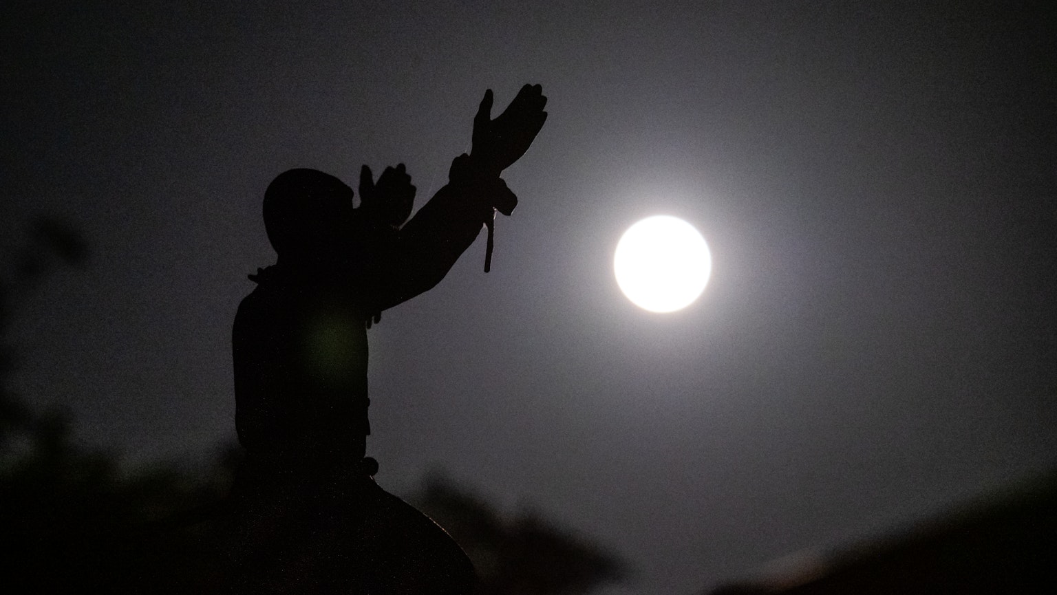 2024-09-harvest-moon-image-3