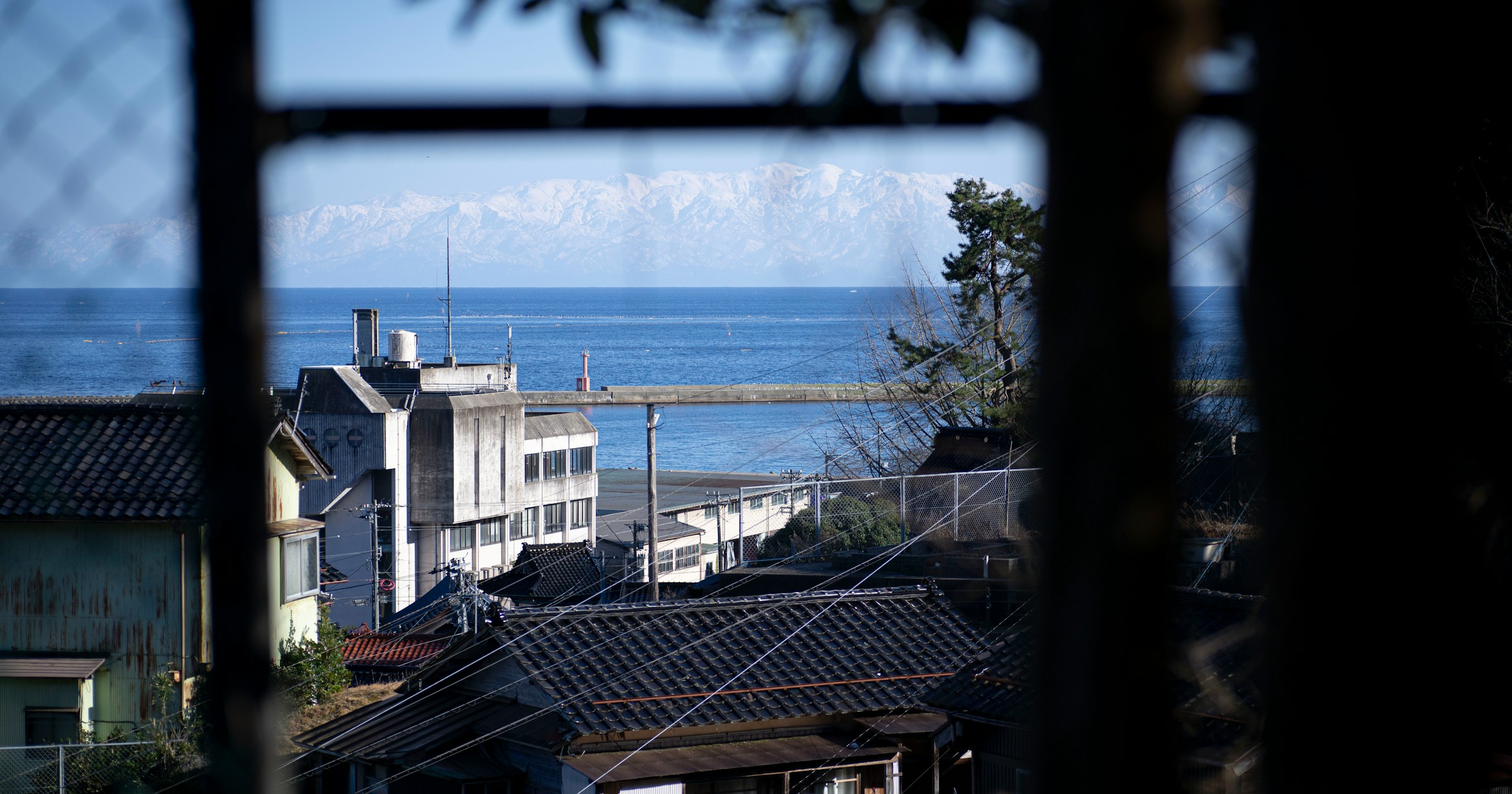 少しの背伸びで劇的に変わる写真のクオリティ | Release #255