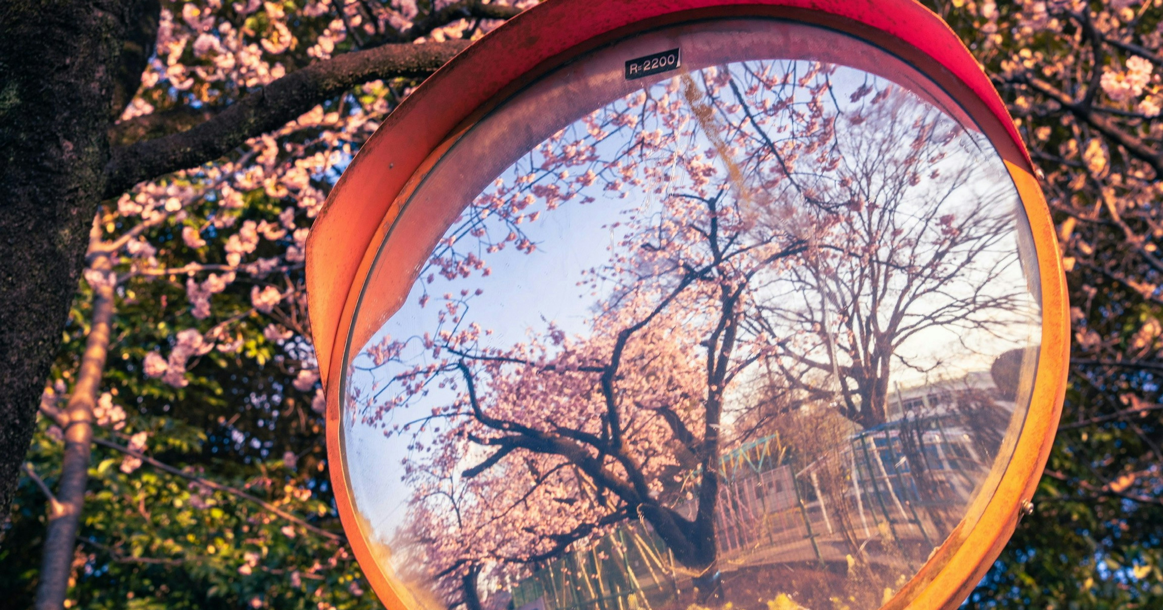 2025-05-mirror-cover-image