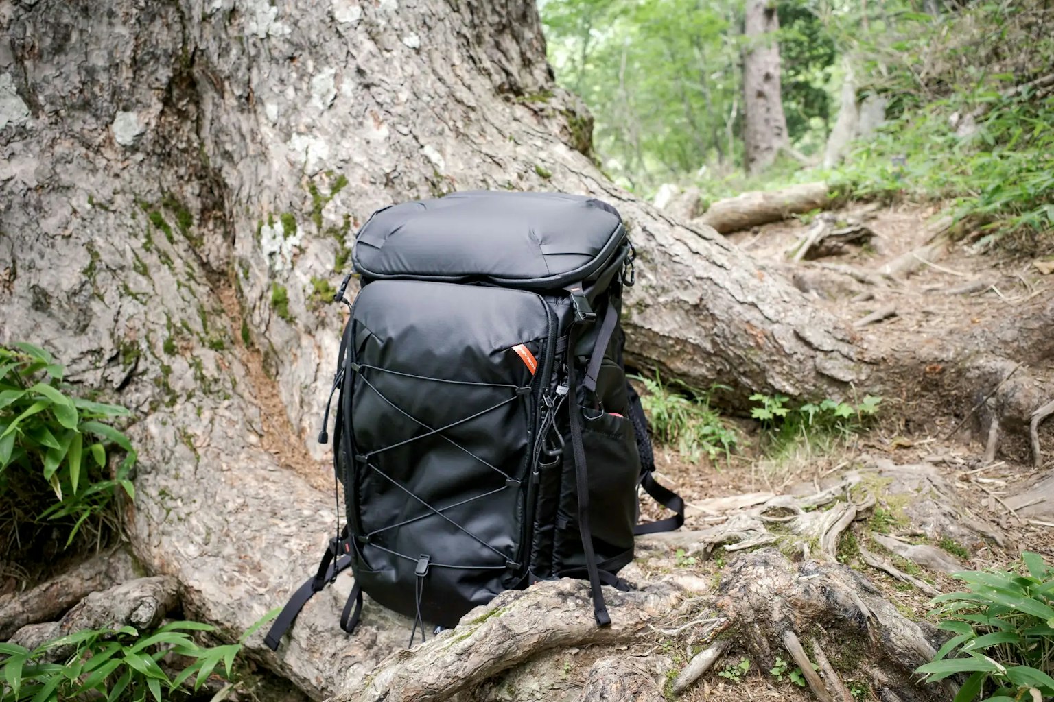 2024-08-onepro-flex-focux-image-2