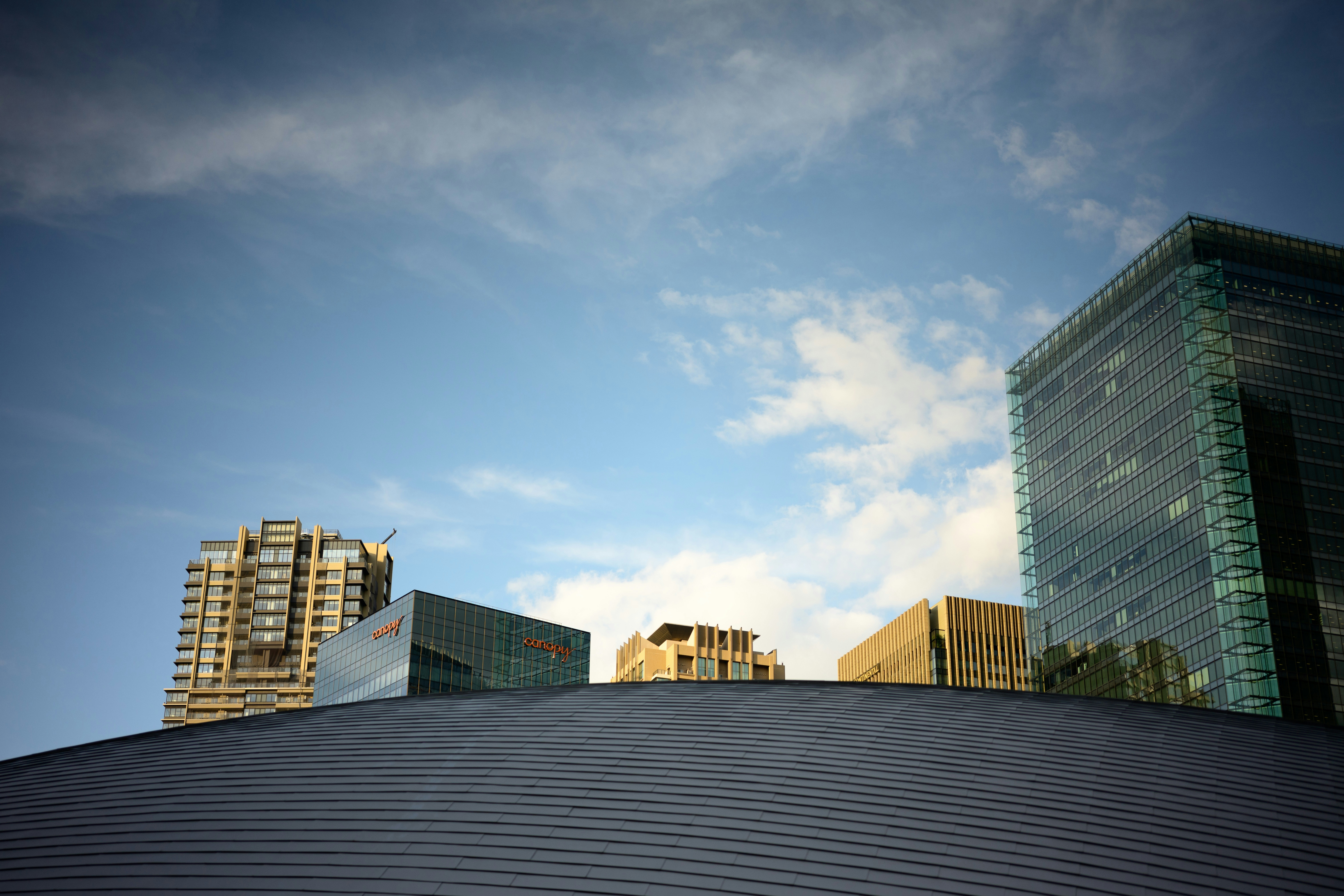 2026-02-older-and-longer-focal-lengths-cover-image