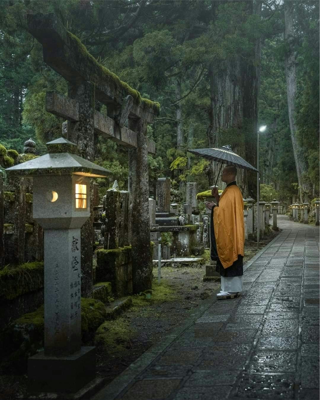 2025-04-steps-of-life-award-image-6