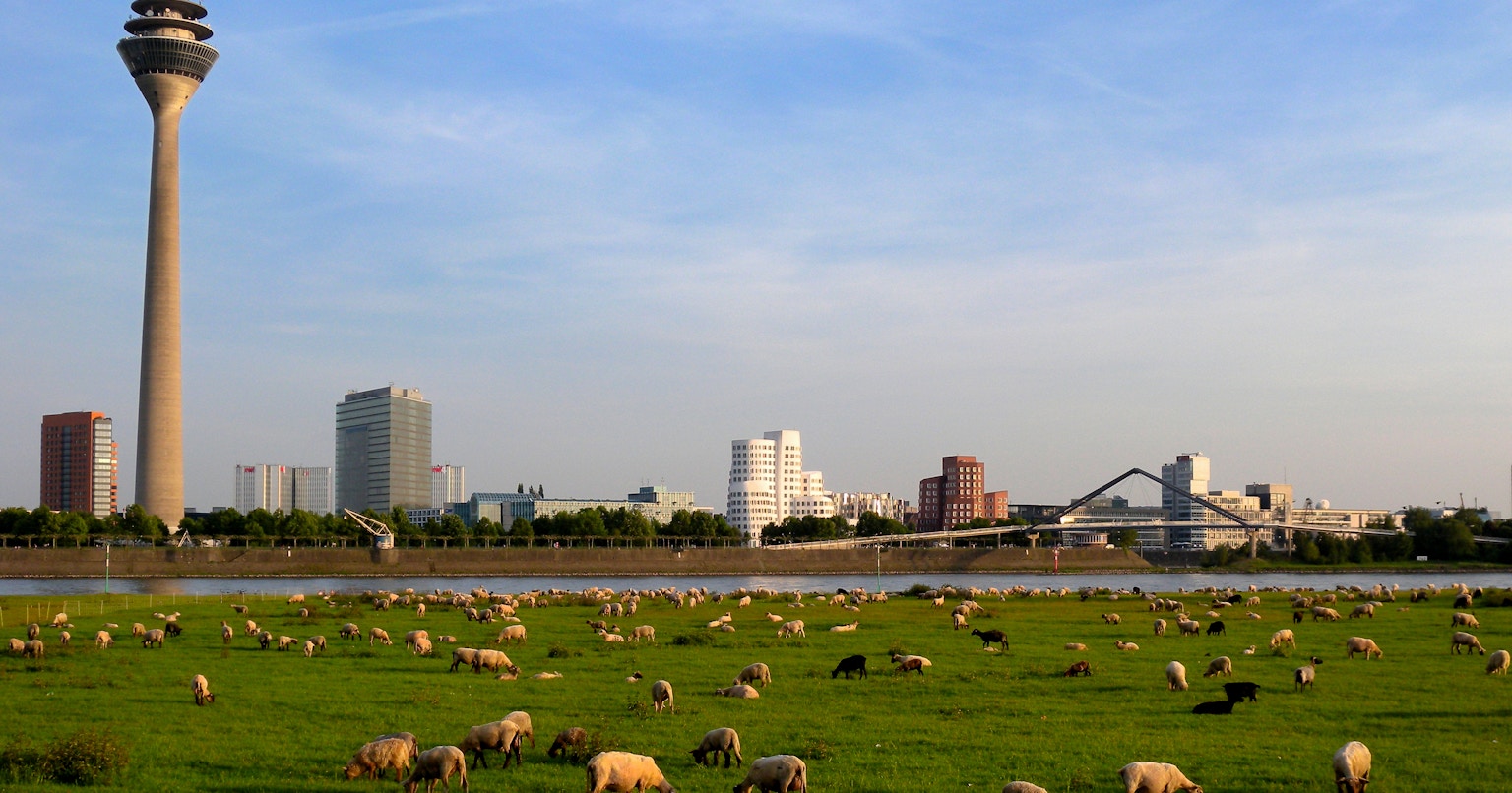 2024-07-urban-escape-cover-image