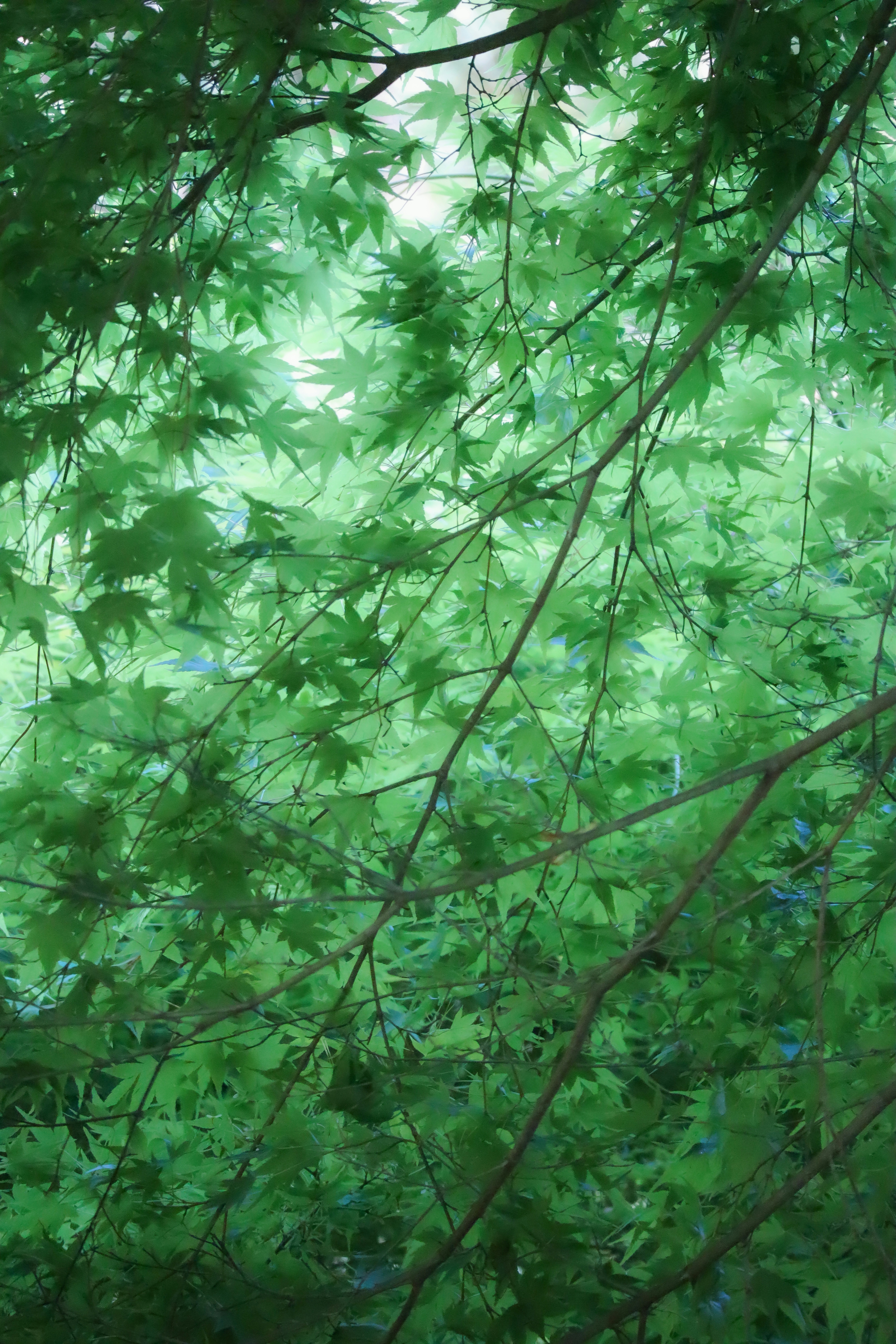 2026-07-summer-image-4