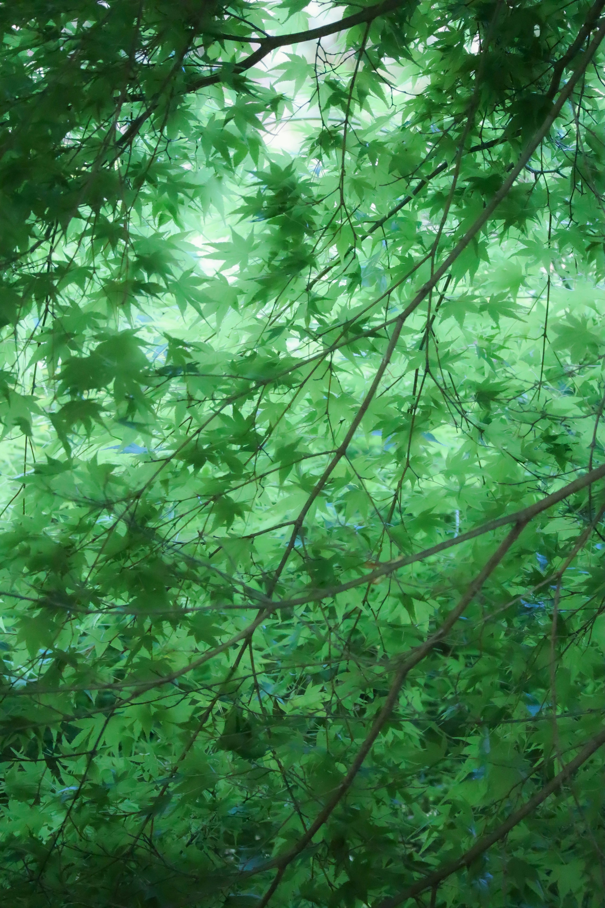2026-07-summer-image-4