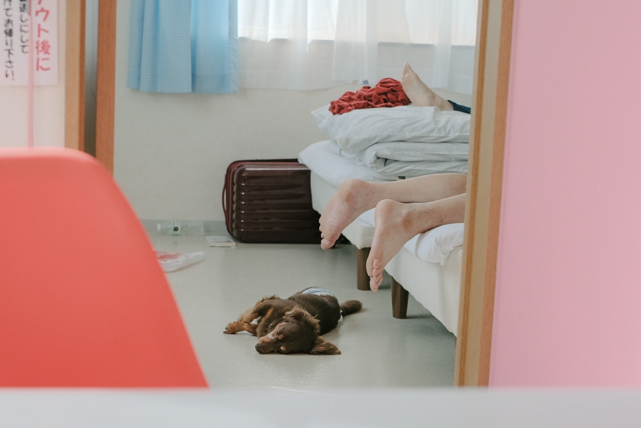 2025-12-love-from-here-cover-image