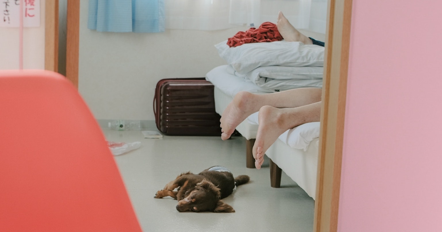 2025-12-love-from-here-cover-image