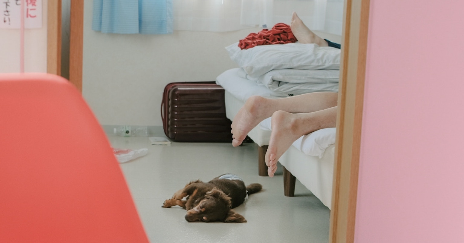 2025-12-love-from-here-cover-image