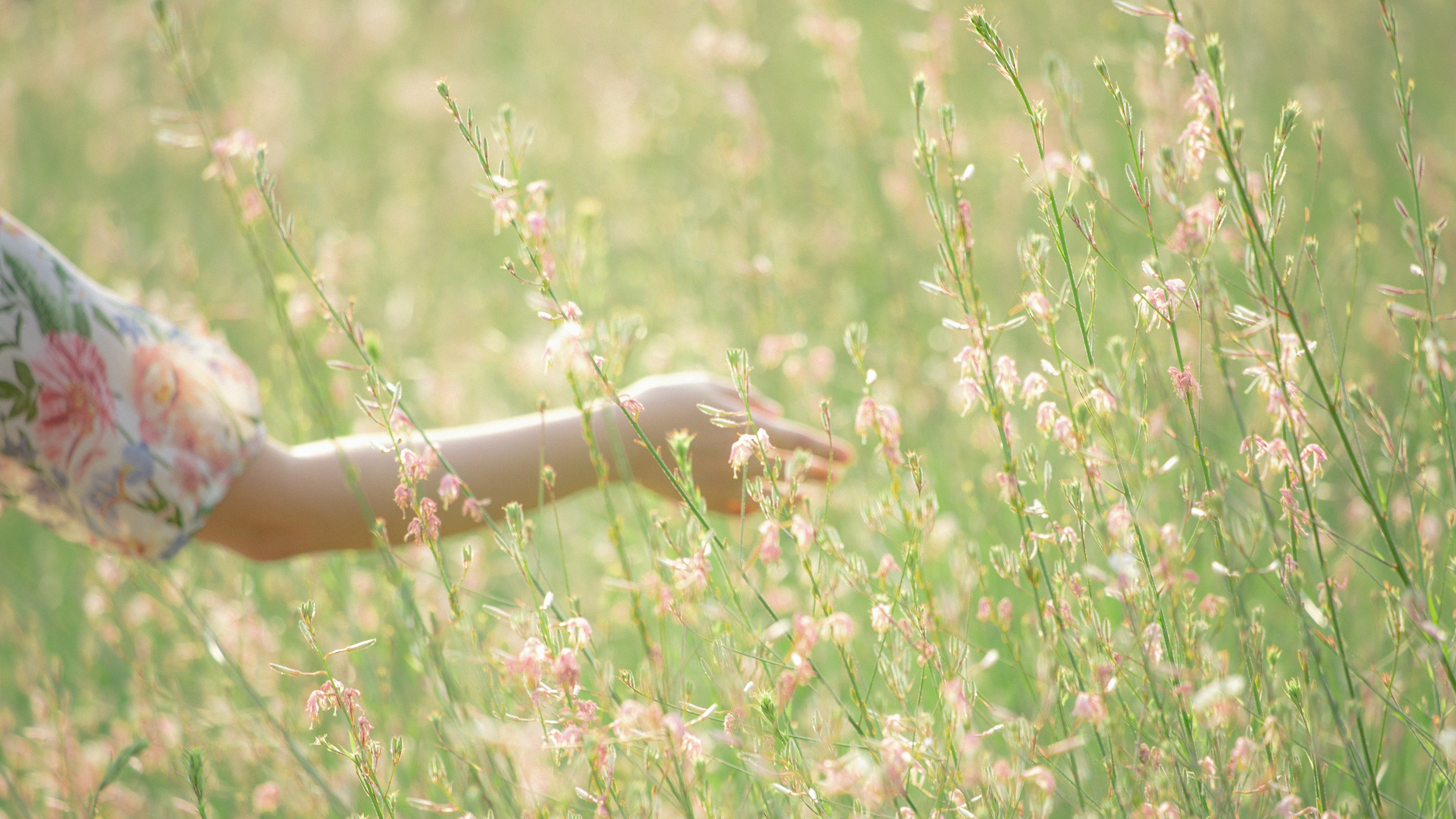 2026-08-find-new-pieces-cinema-image-22