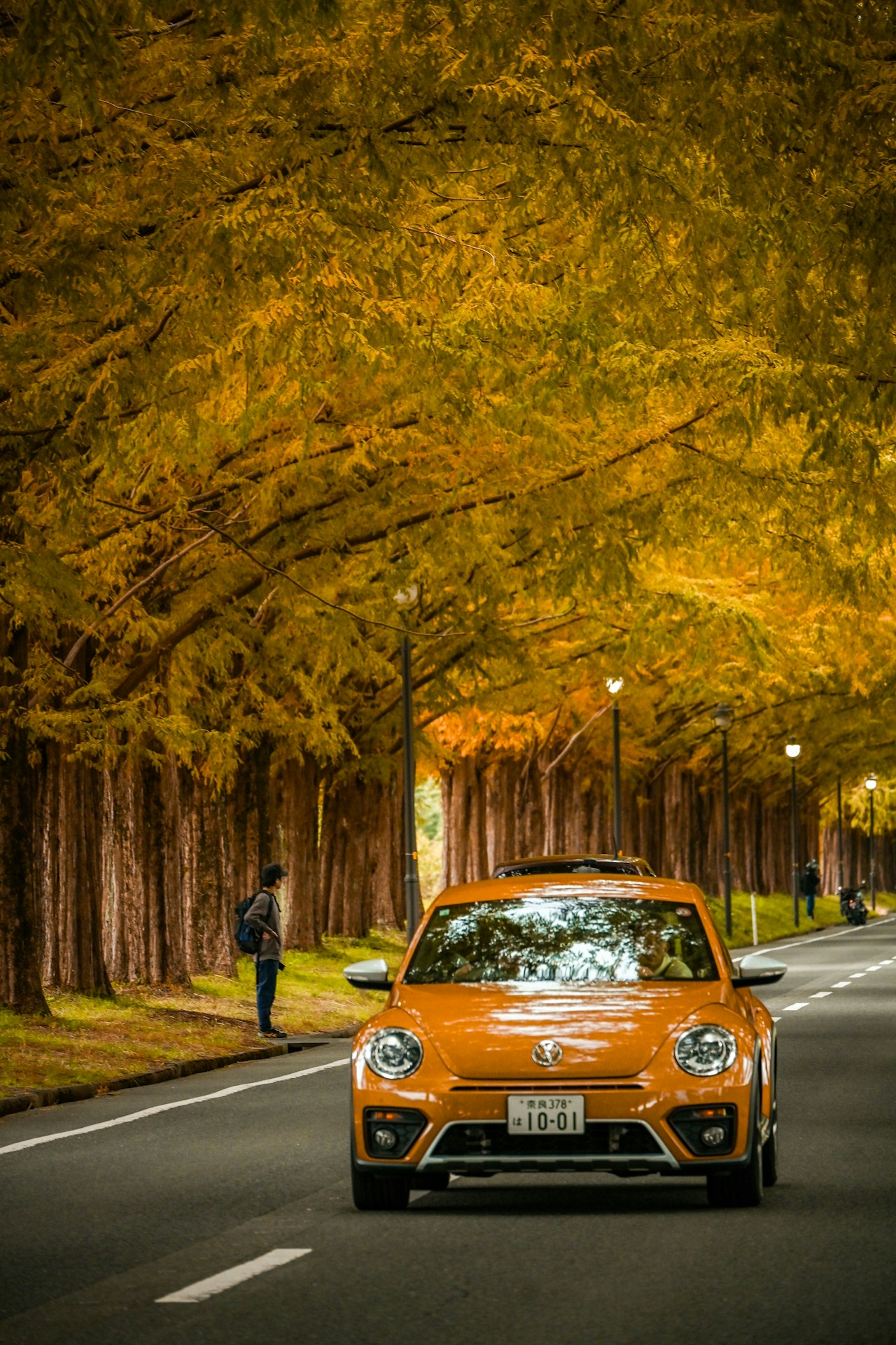 Photo by えみ