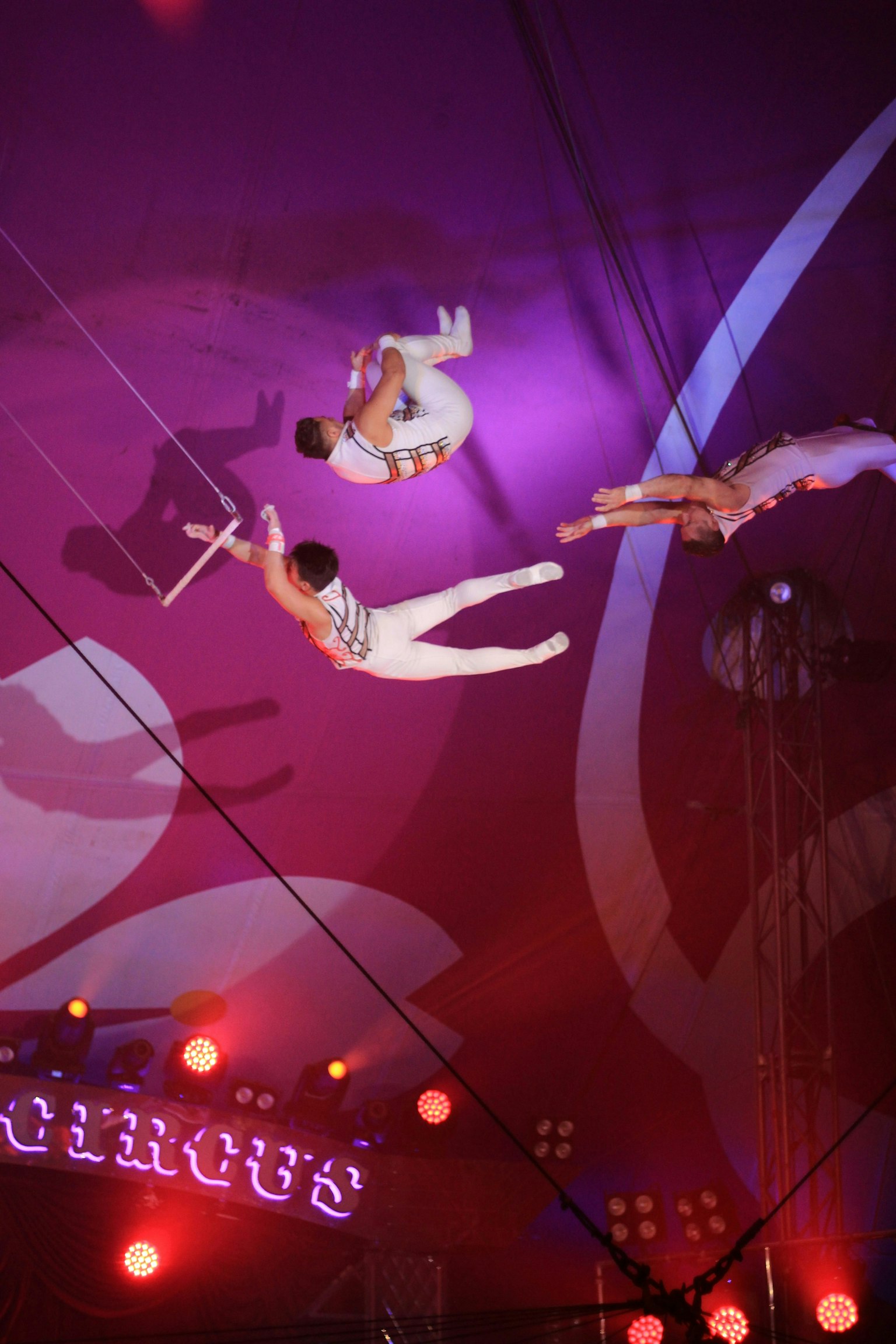 2025-11-human-report-image-5