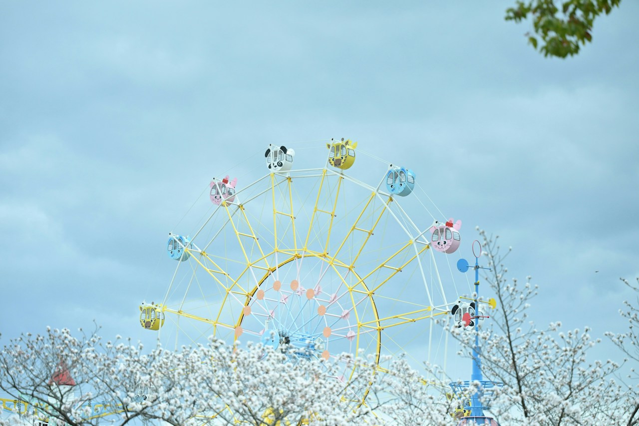 Photo by masa