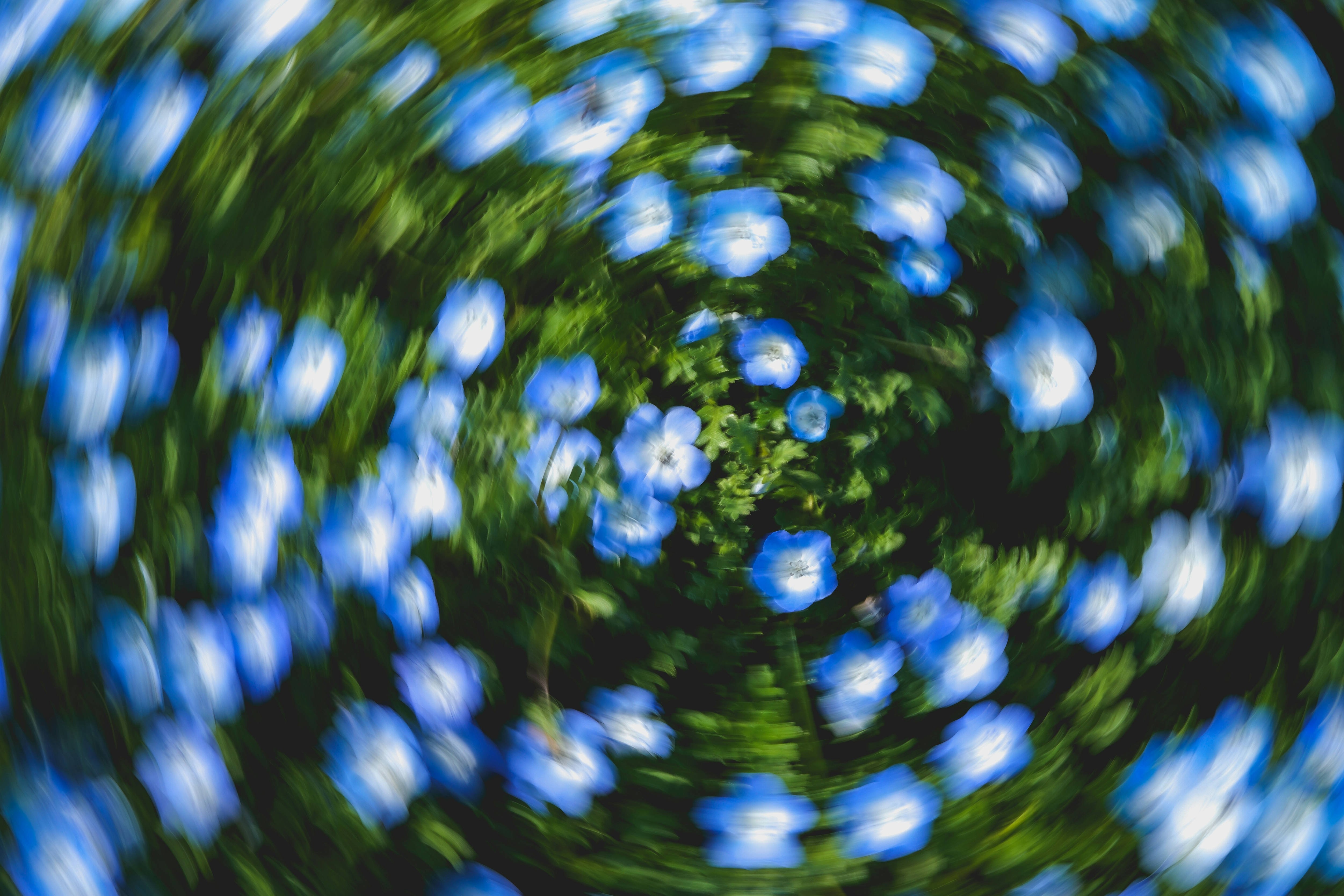 2026-06-beyond-the-point-of-view-cover-image