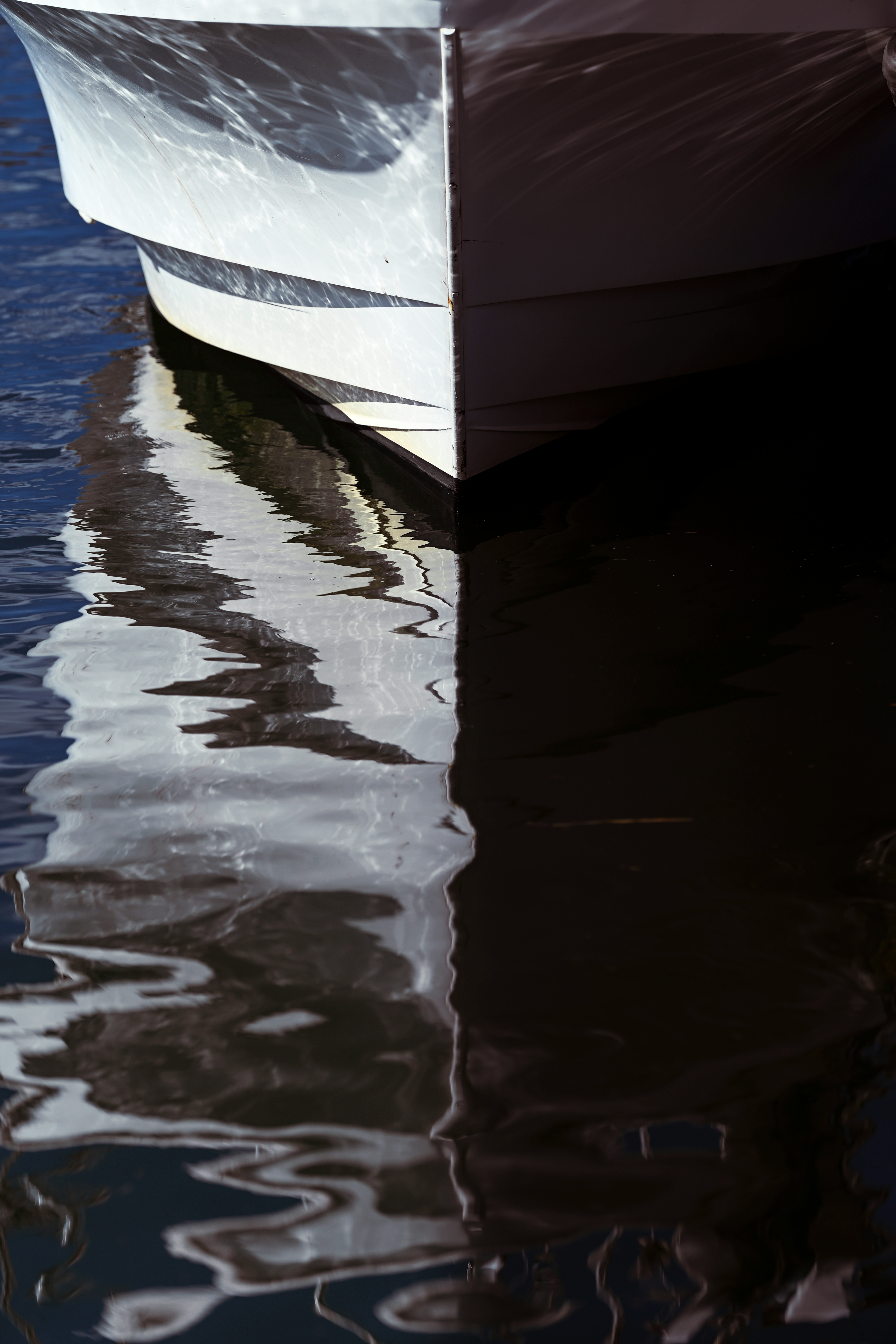 2026-02-shadows-of-light-award-image-8