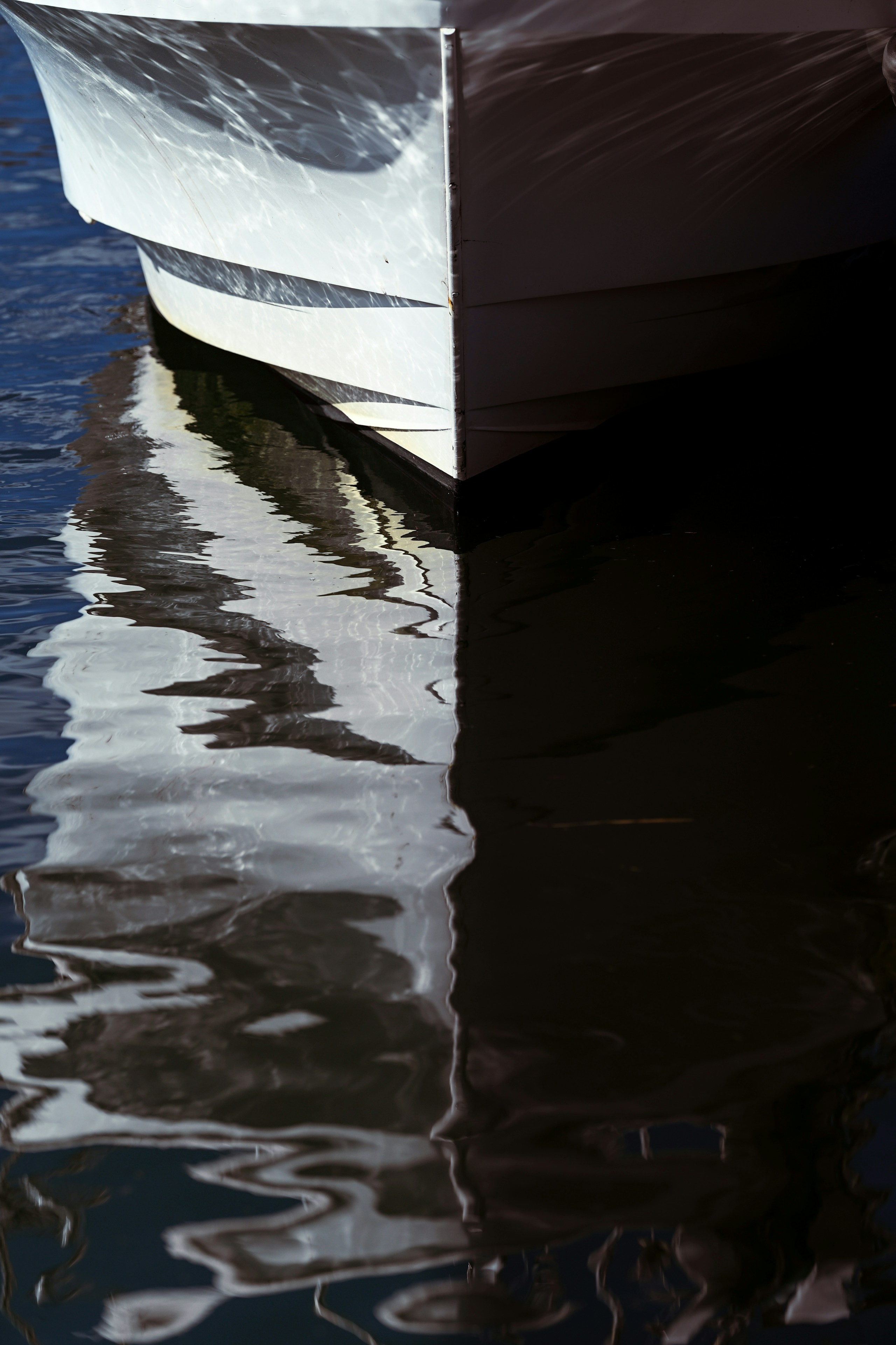 2026-02-shadows-of-light-award-image-8