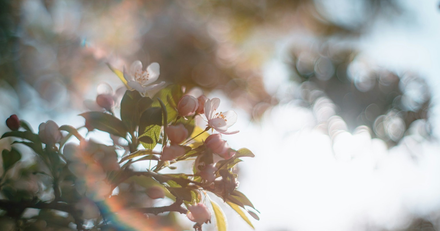 2024-09-old-lens-new-photo-experience-cover-image