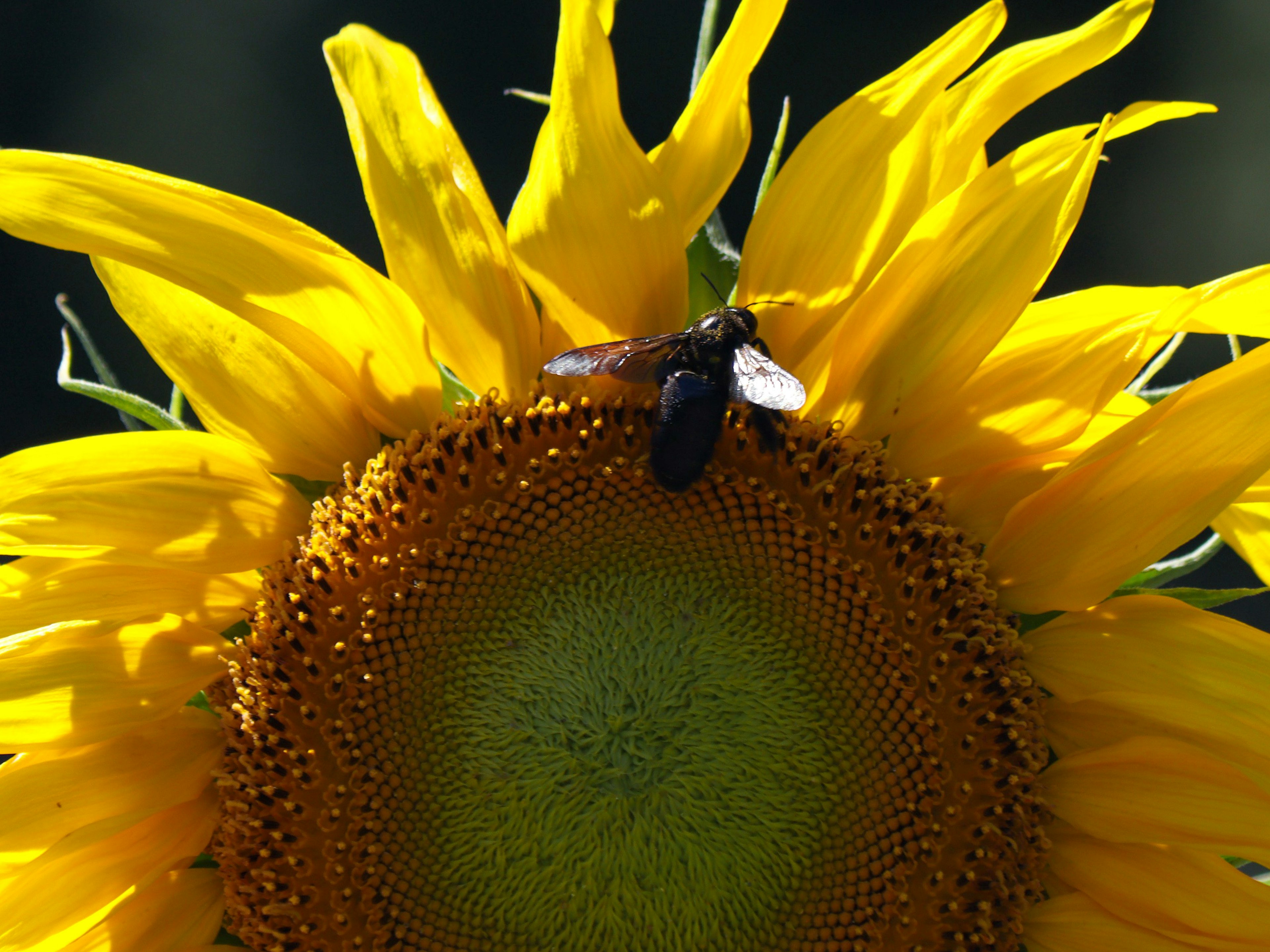 2024-08-100-years-of-future-blooms-image-14