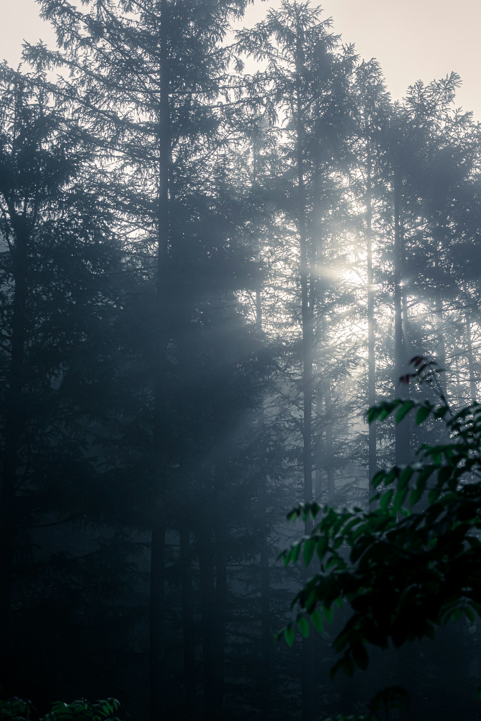 2024-06-away-from-ai-image-8