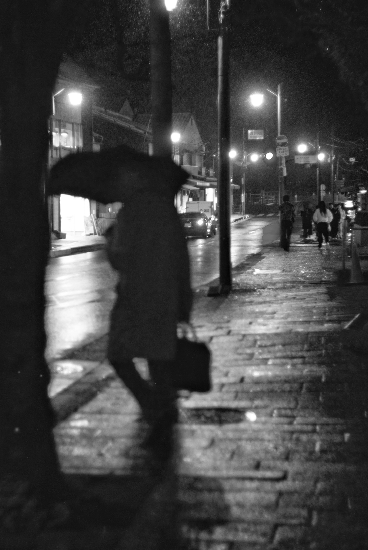 2024-03-walikng-in-the-night-snap-image-24