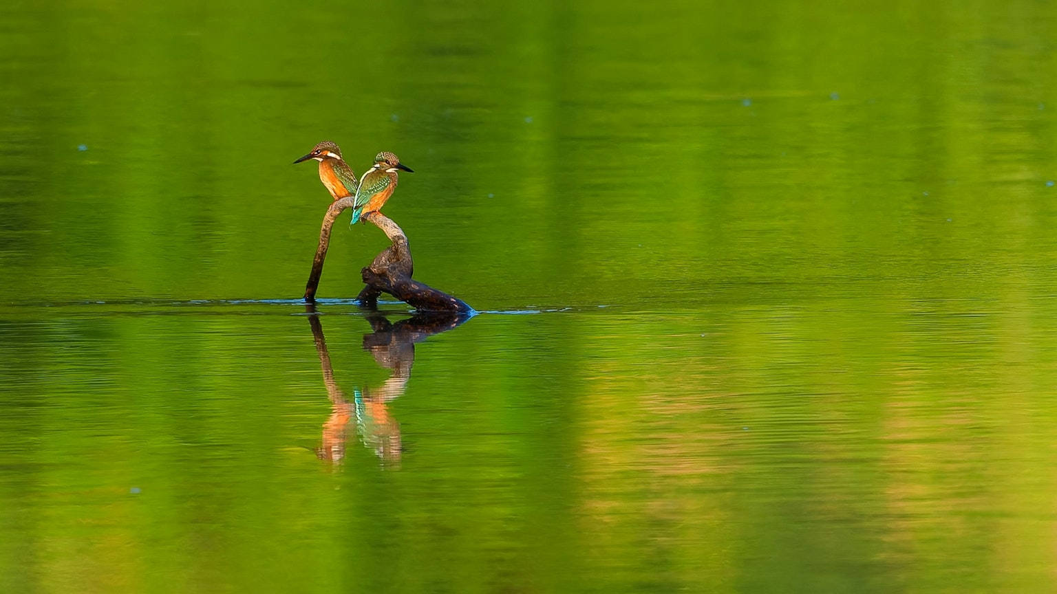 2025-08-summer-green-award-image-8