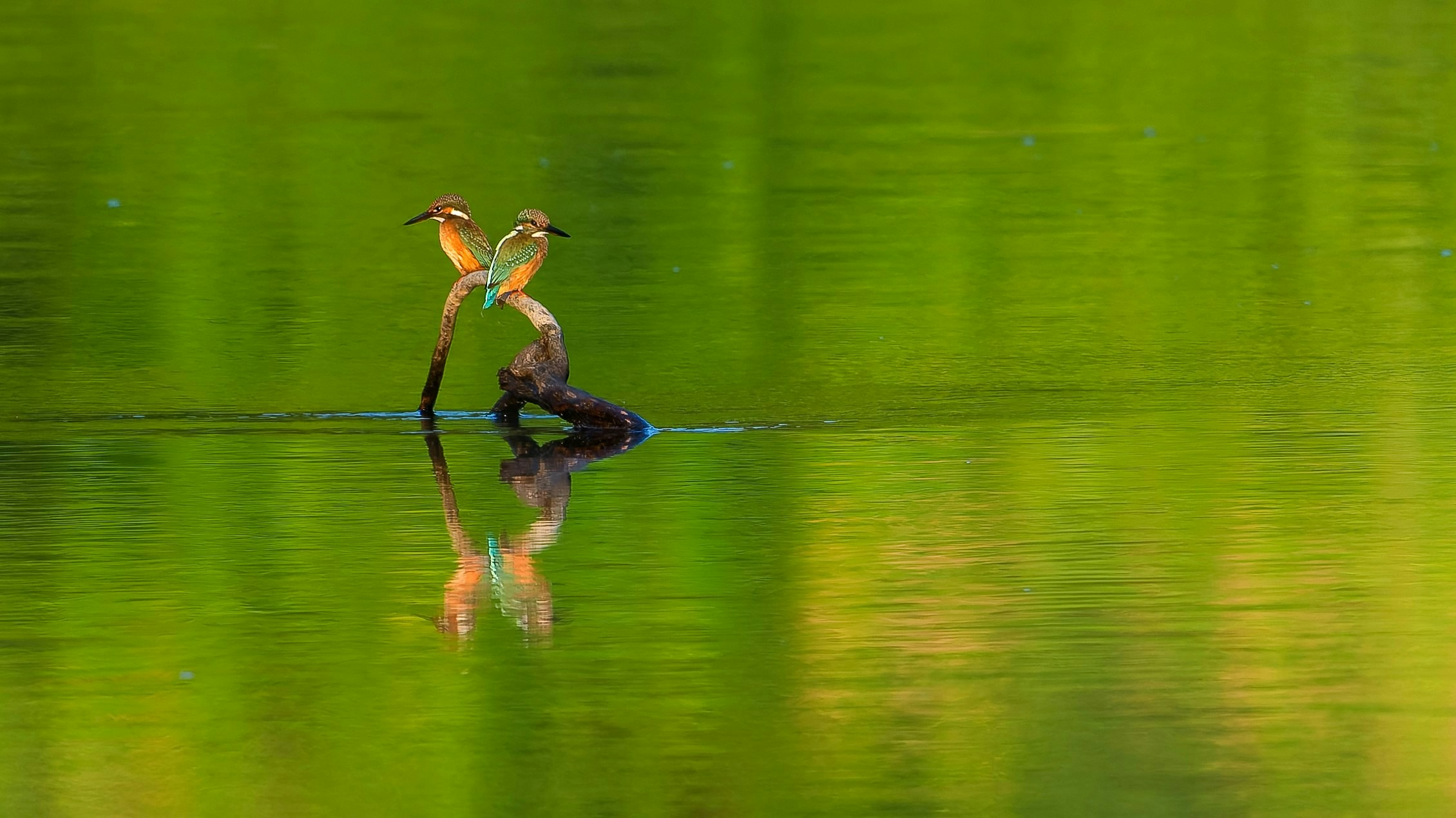 2025-08-summer-green-award-image-8