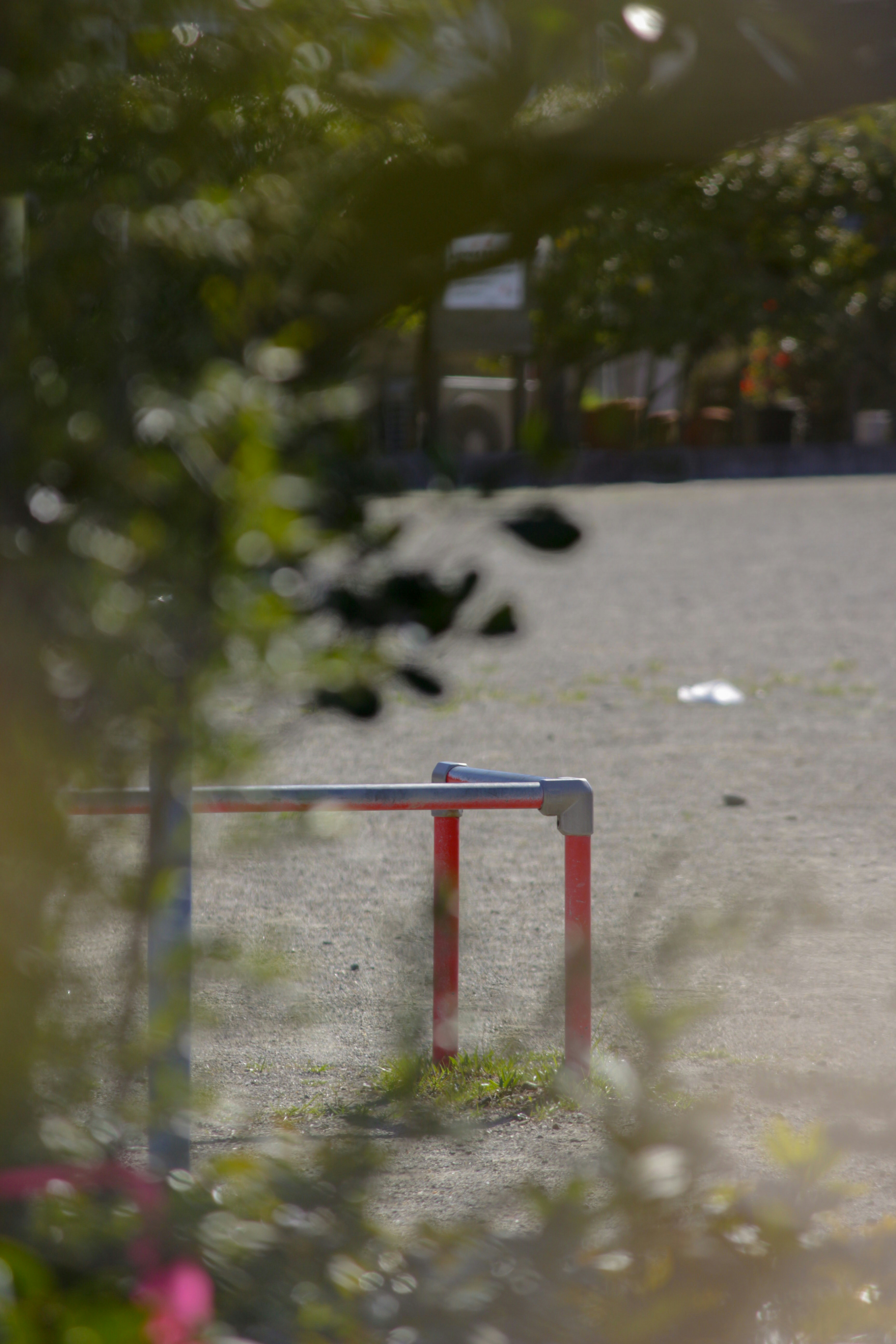 2026-05-bokeh-report-cover-image