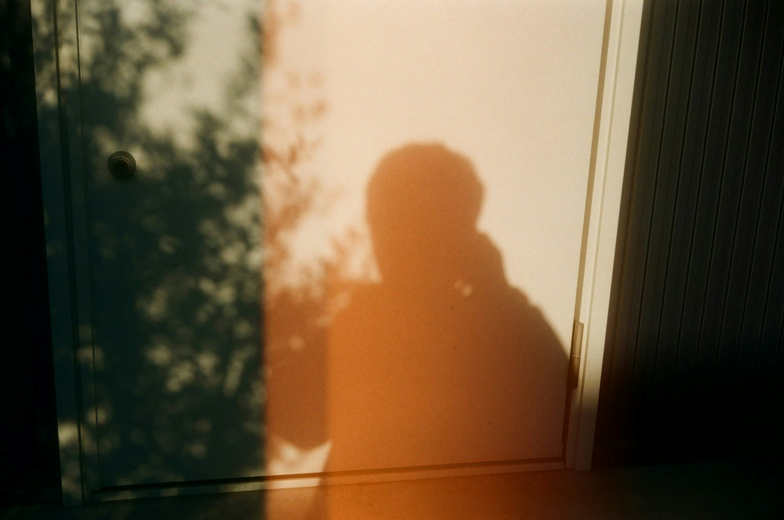 2025-05-fragments-of-memory-award-image-19