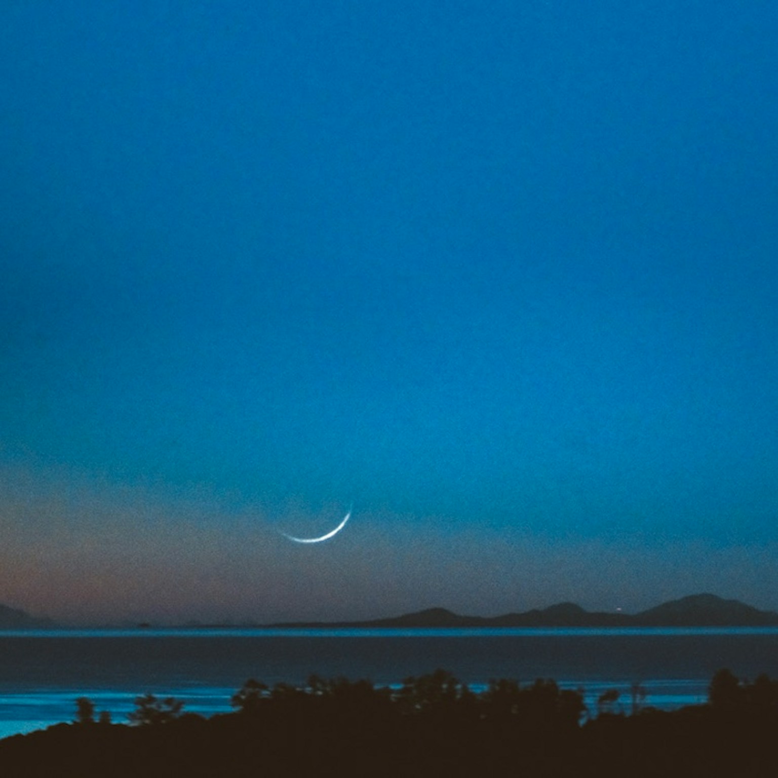 2024-07-blue-day-cover-image